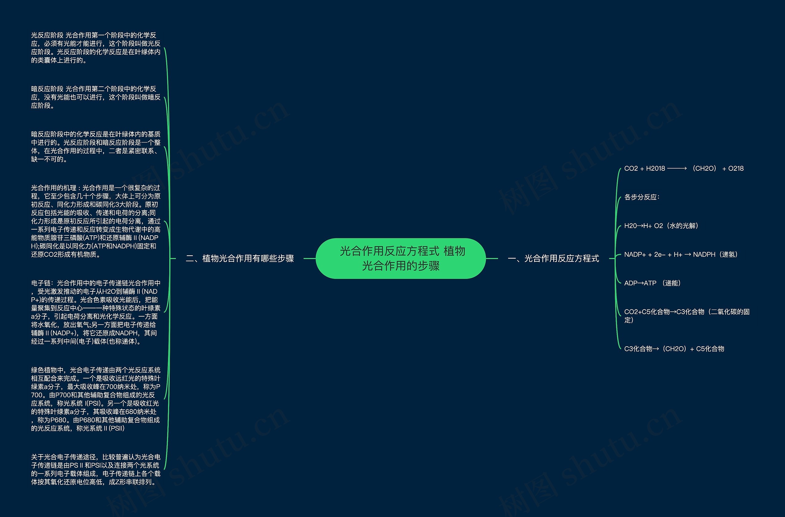  光合作用反应方程式 植物光合作用的步骤