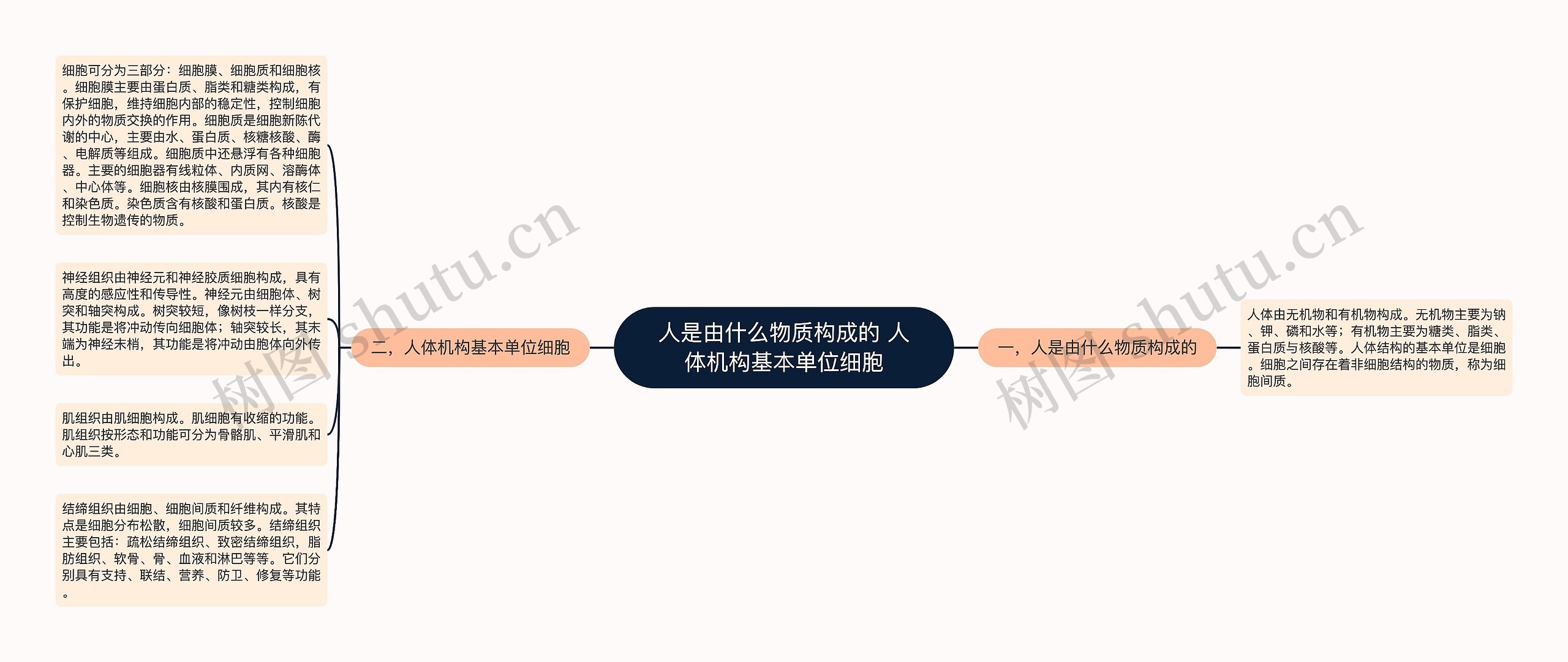 人是由什么物质构成的 人体机构基本单位细胞