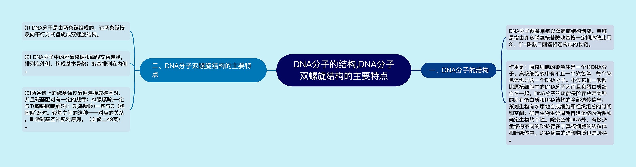 DNA分子的结构,DNA分子双螺旋结构的主要特点思维导图