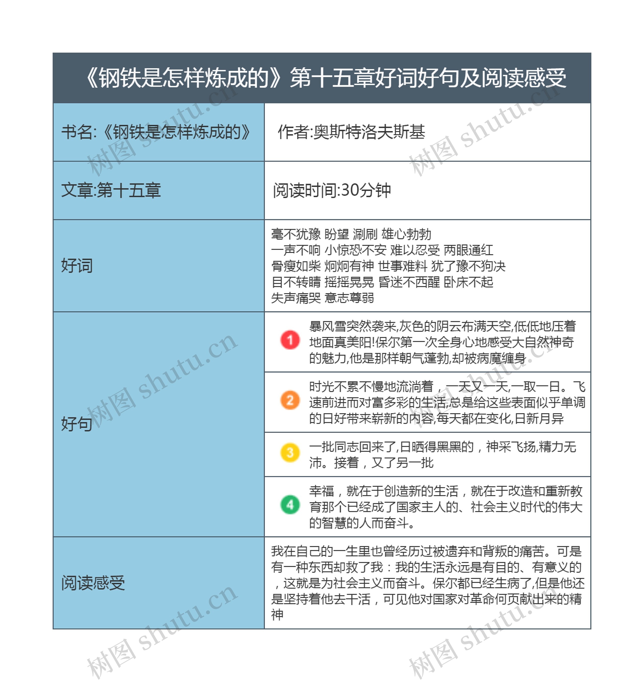 《钢铁是怎样炼成的》第十五章好词好句及阅读感受