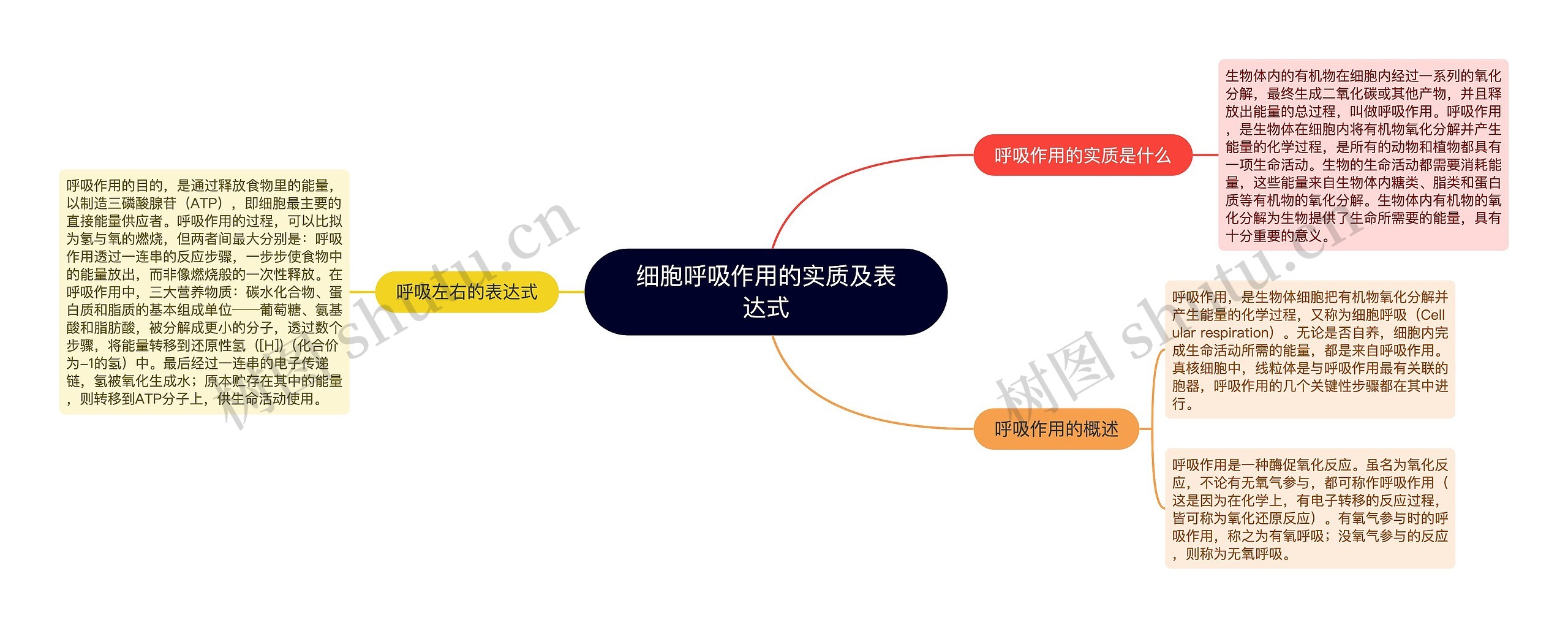 细胞呼吸作用的实质及表达式思维导图