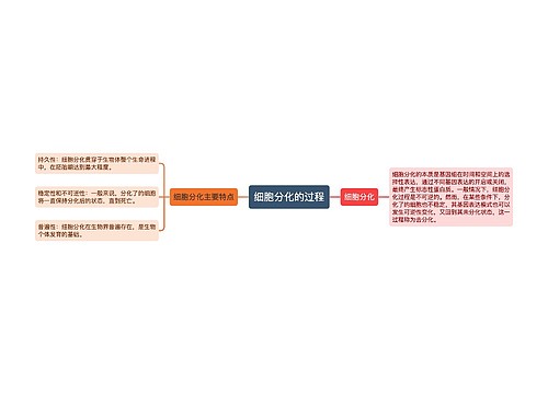 细胞分化的过程