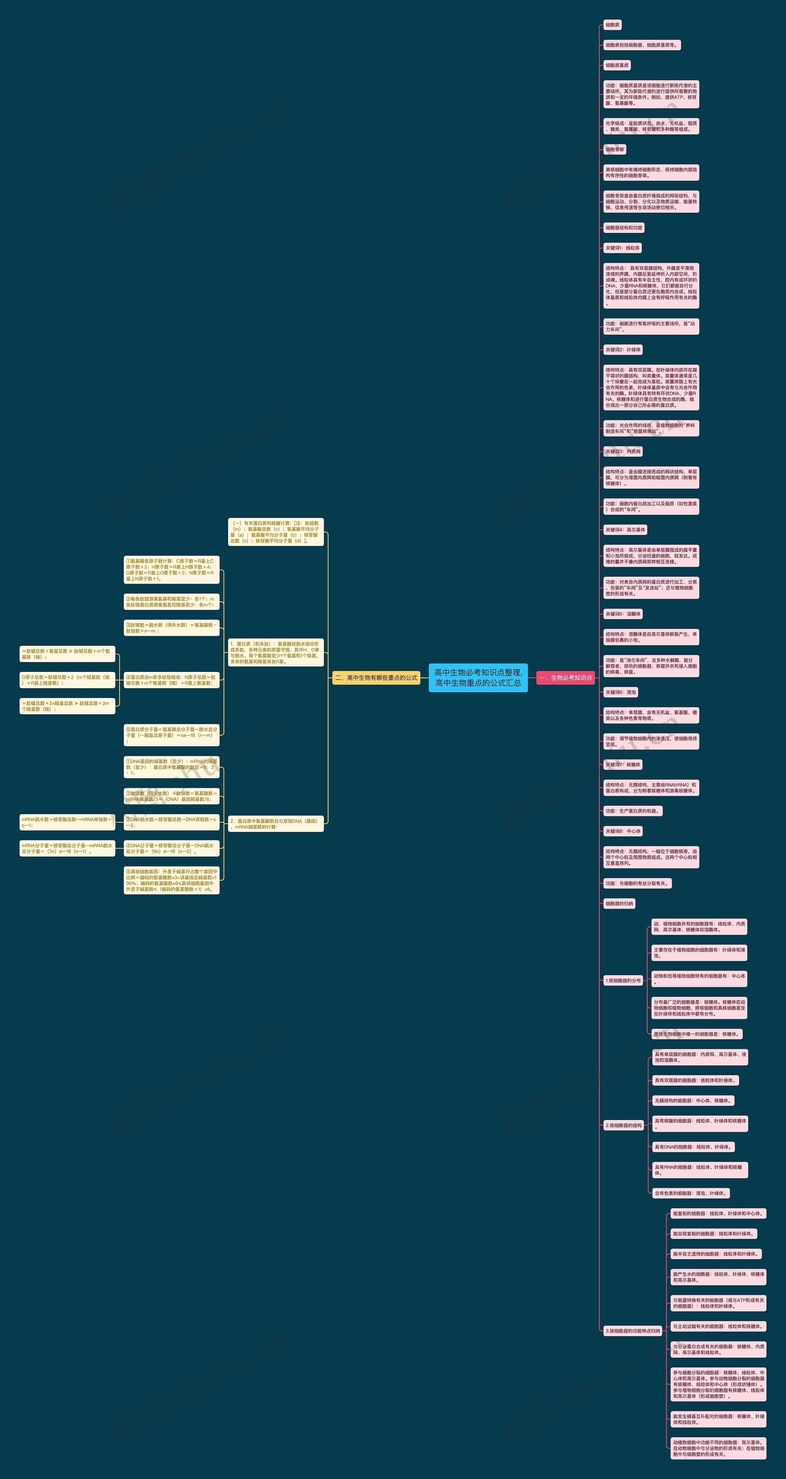 高中生物必考知识点整理,高中生物重点的公式汇总思维导图