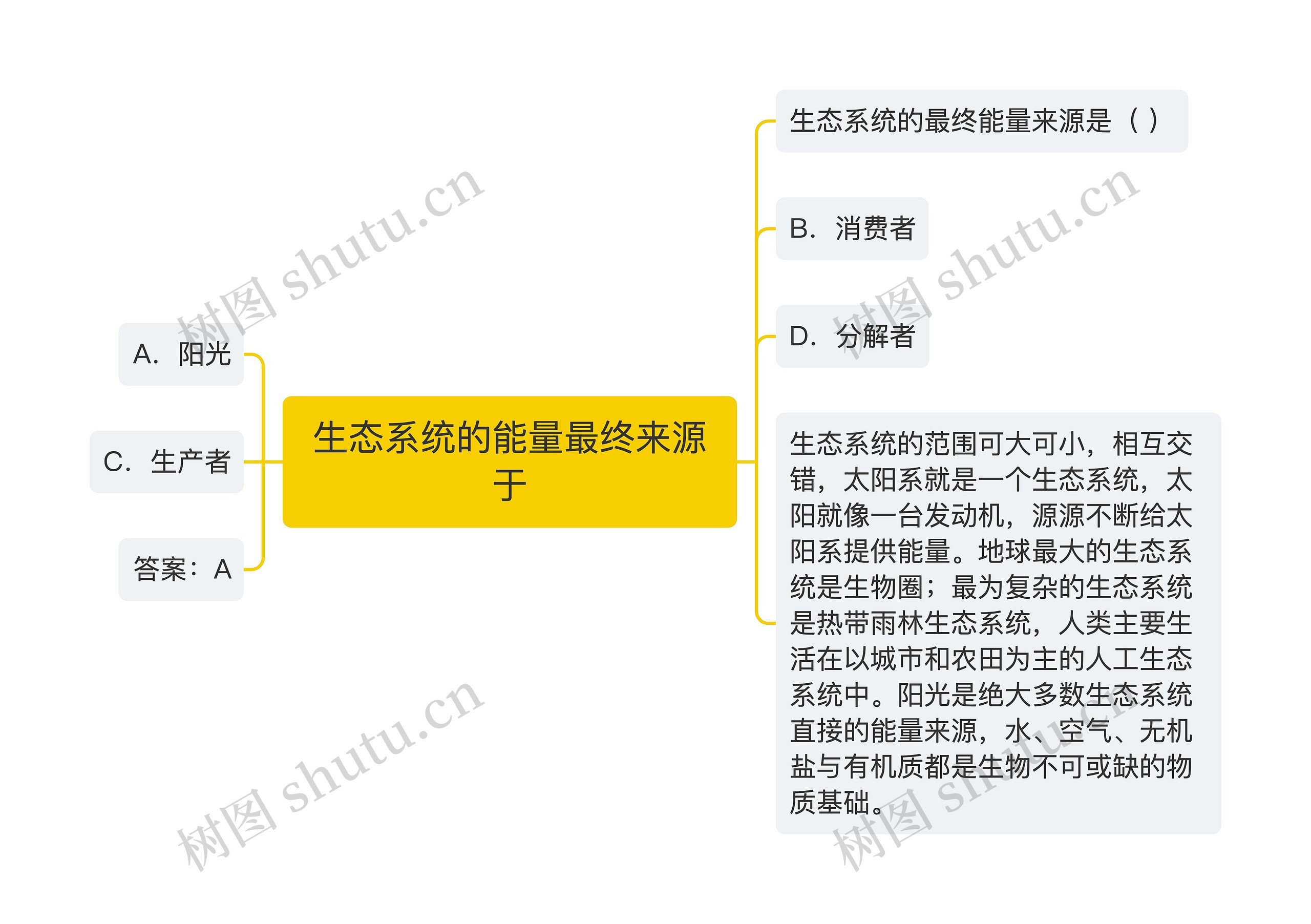 生态系统的能量最终来源于思维导图