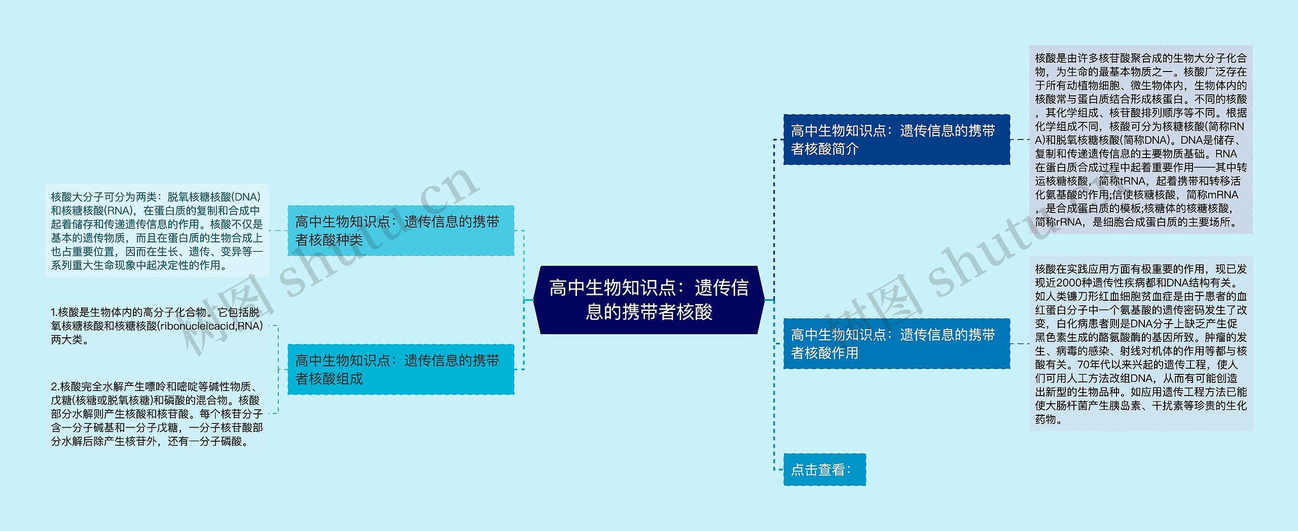 高中生物知识点：遗传信息的携带者核酸