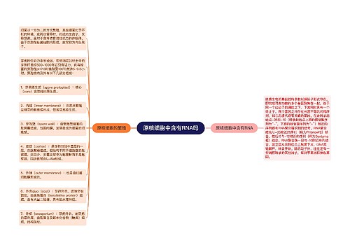 原核细胞中含有RNA吗