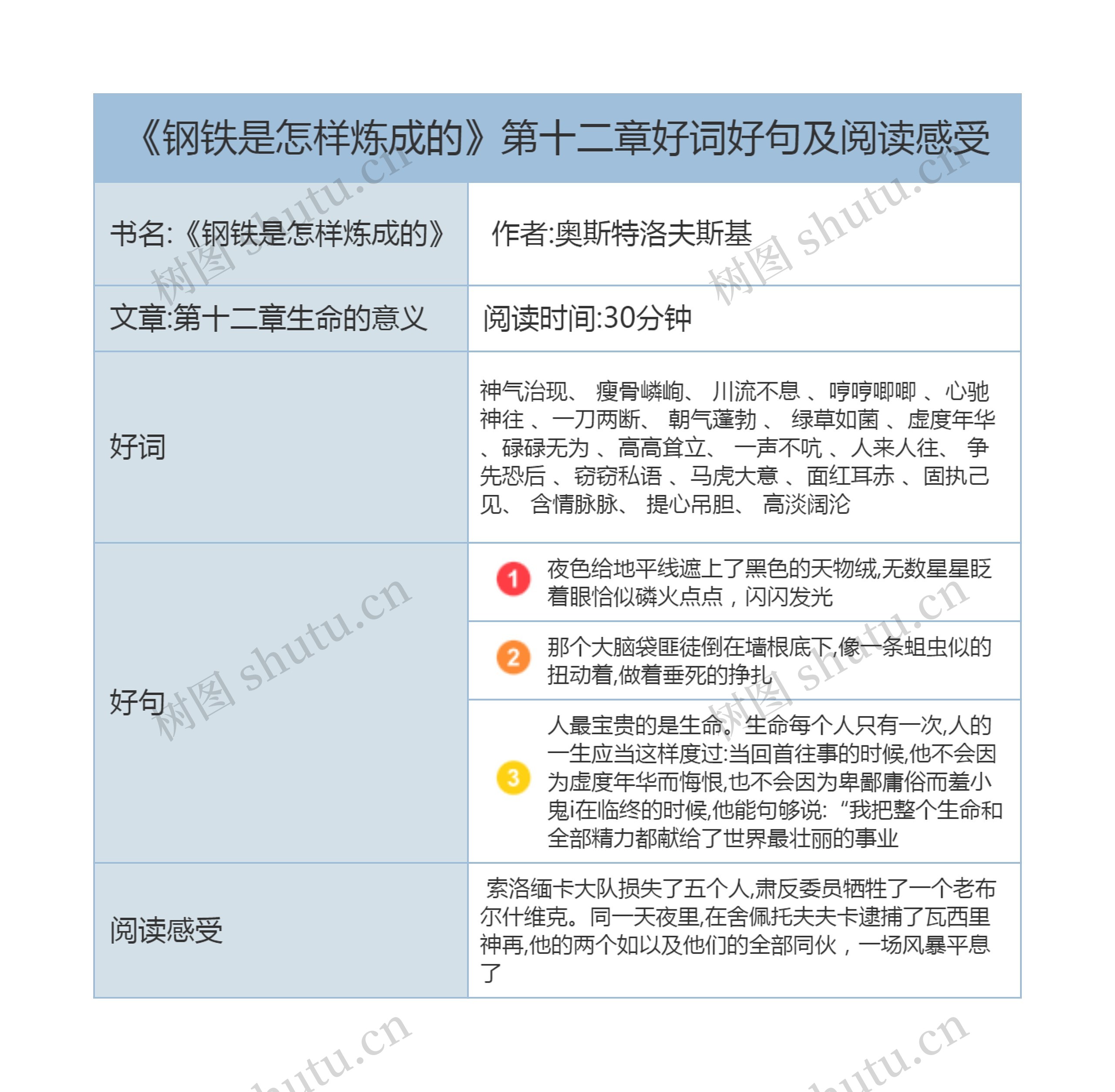 《钢铁是怎样炼成的》第十二章好词好句及阅读感受思维导图