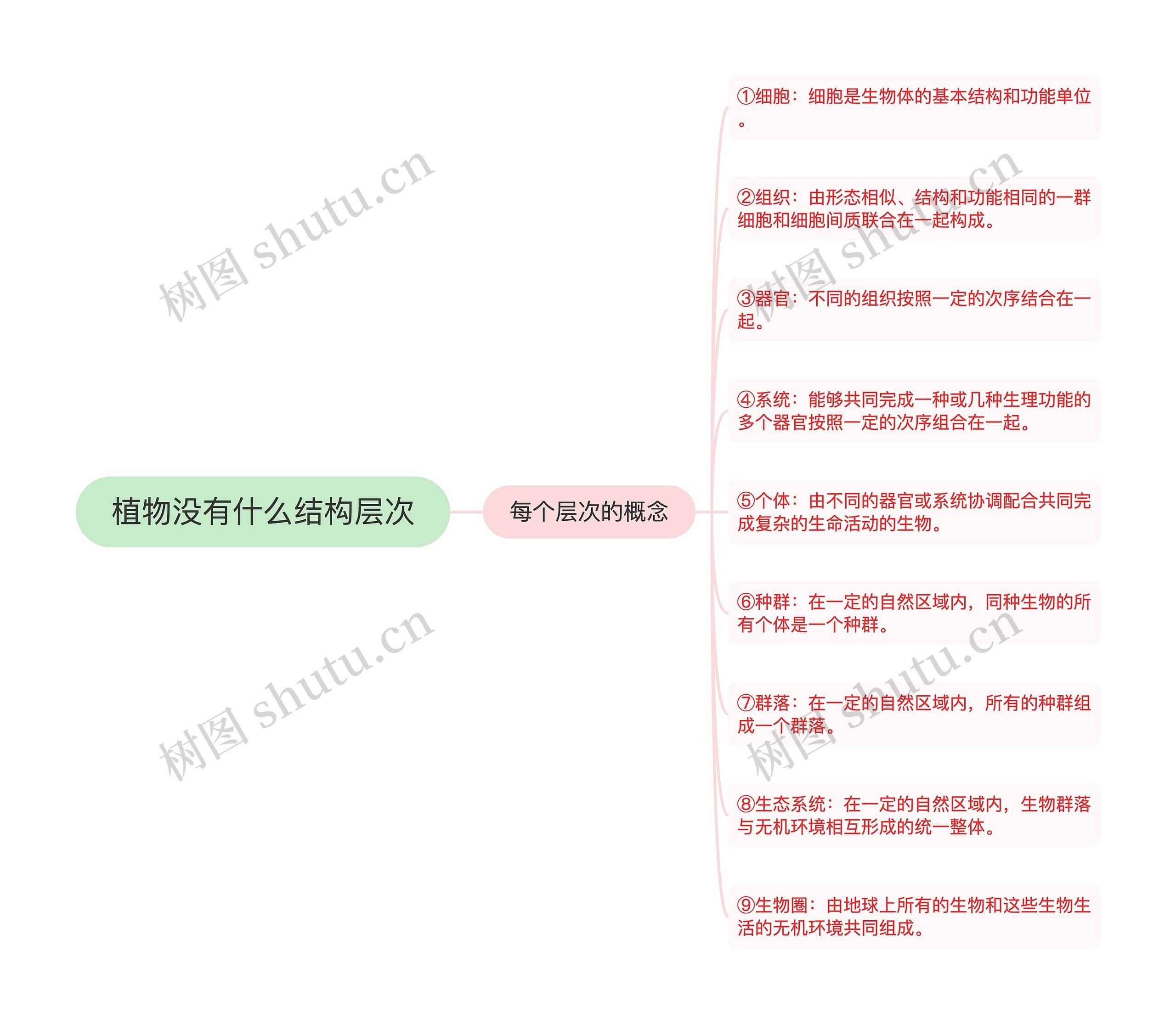 植物没有什么结构层次