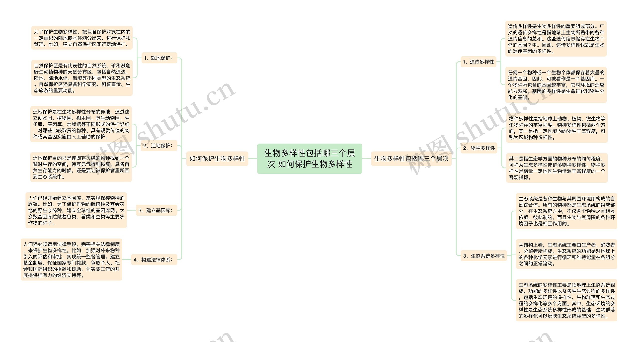 生物多样性包括哪三个层次 如何保护生物多样性思维导图