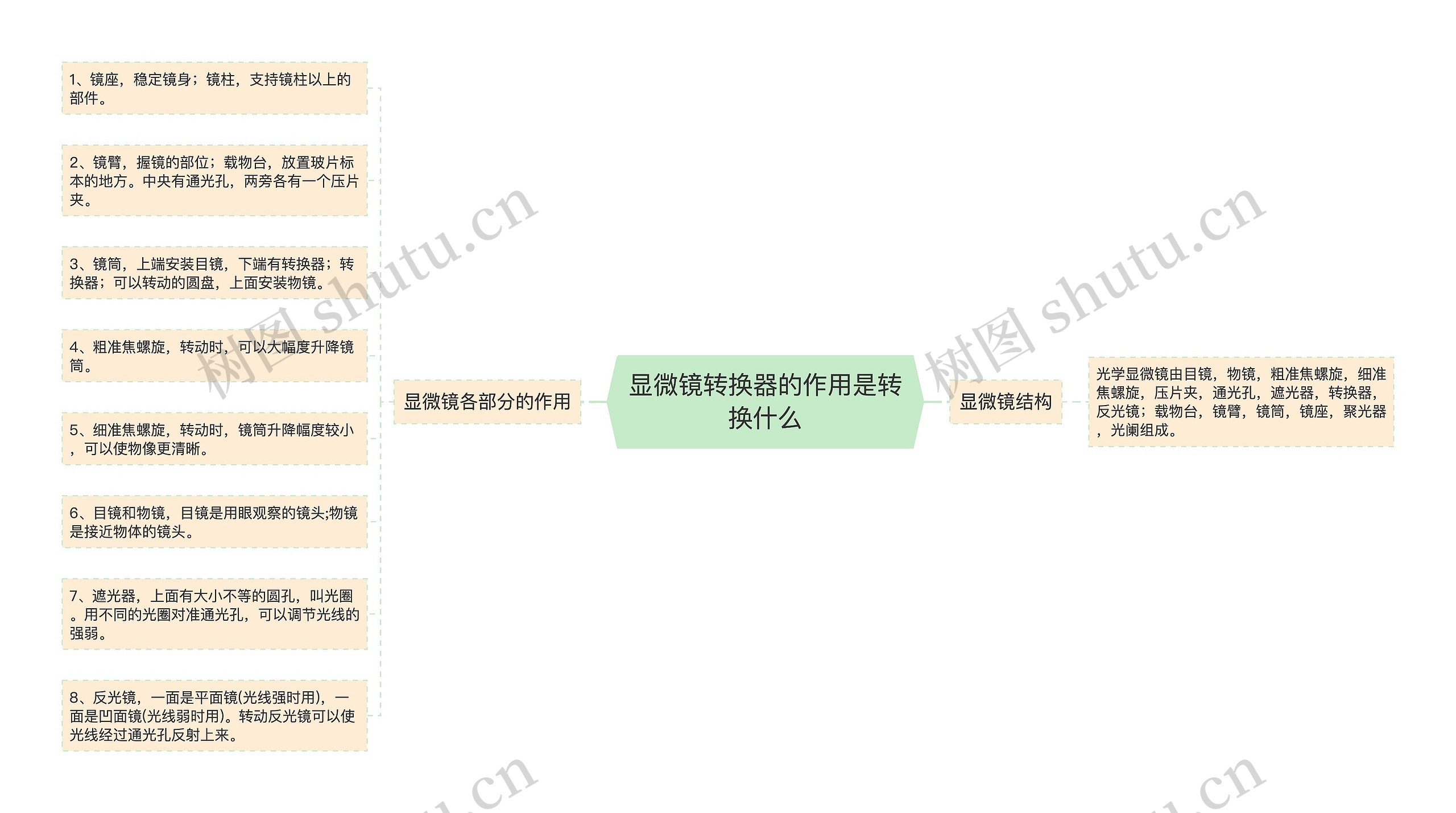 显微镜转换器的作用是转换什么思维导图