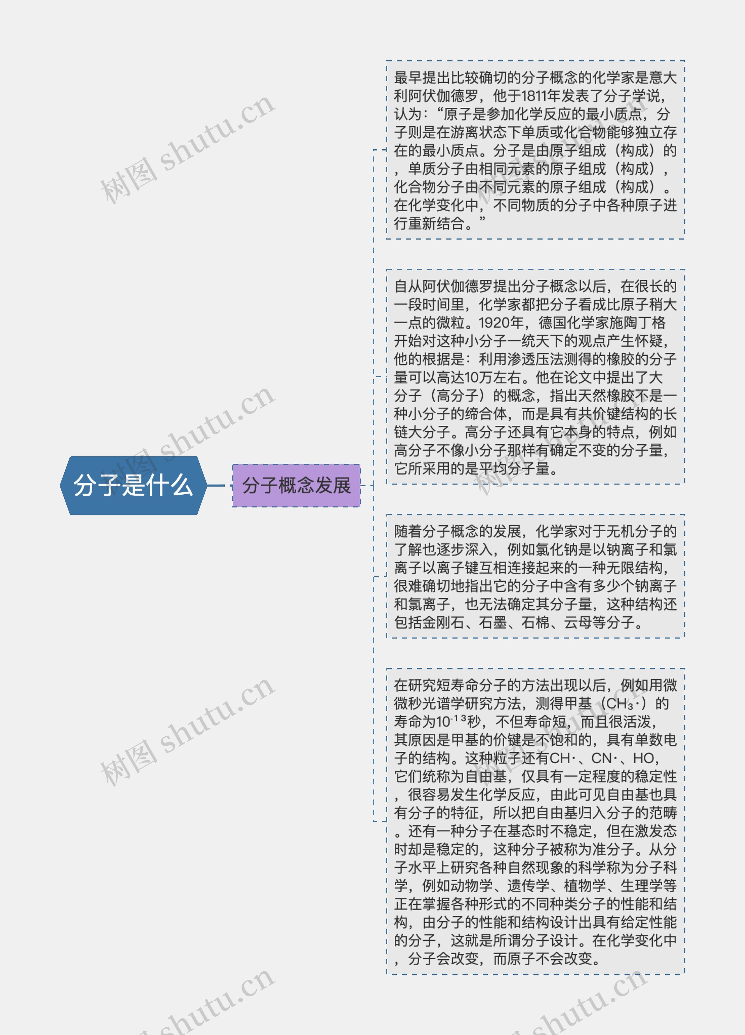 分子是什么思维导图