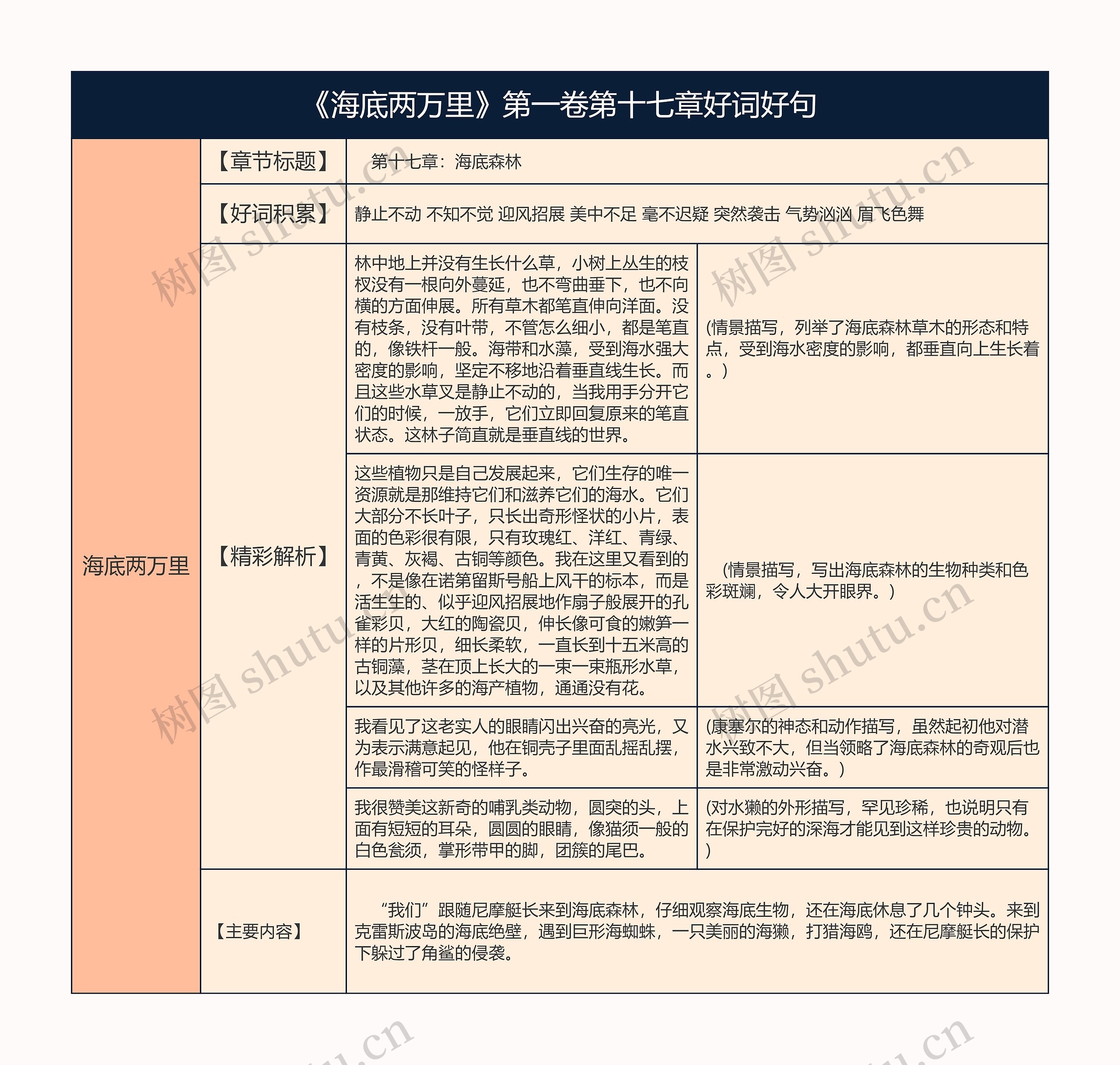 《海底两万里》第一卷第十七章好词好句的思维导图