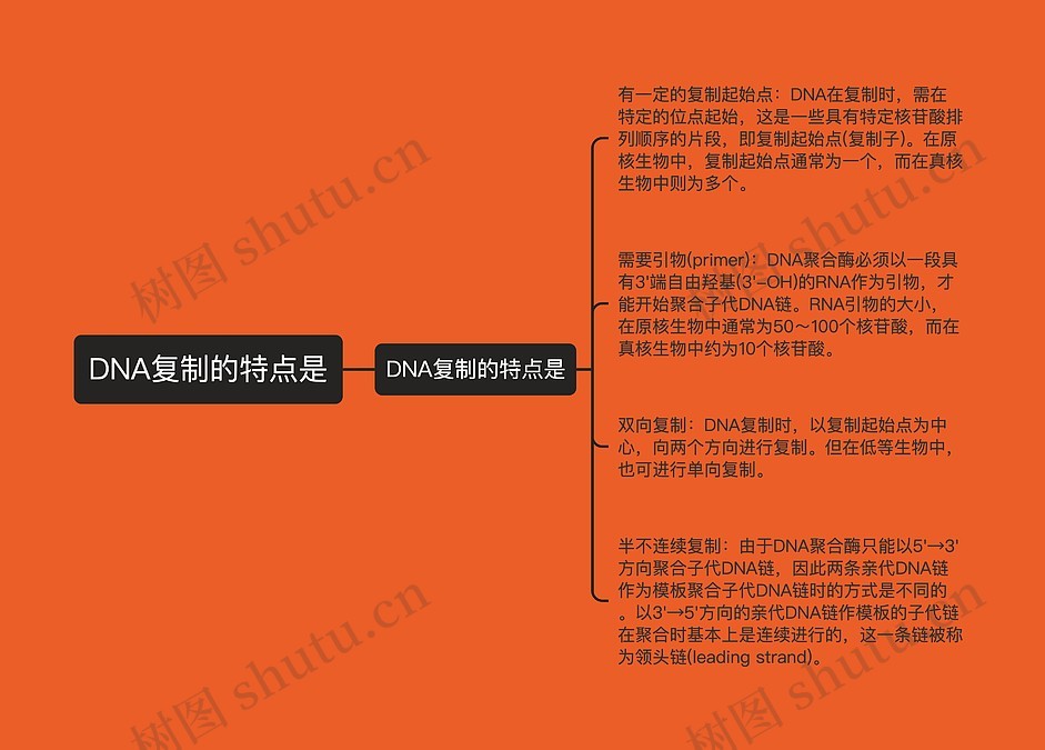 DNA复制的特点是思维导图_编号p3672702-TreeMind树图