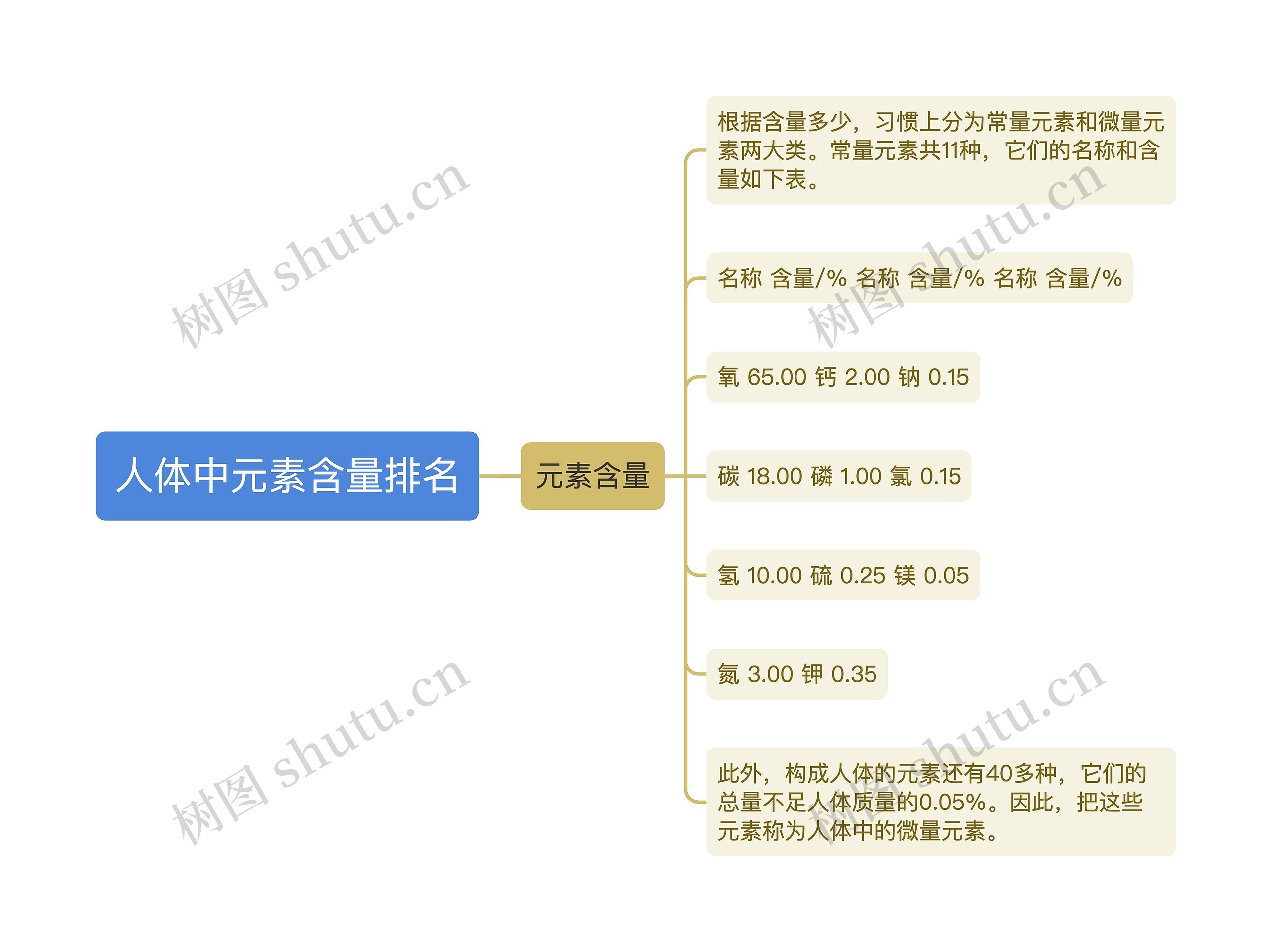 人体中元素含量排名