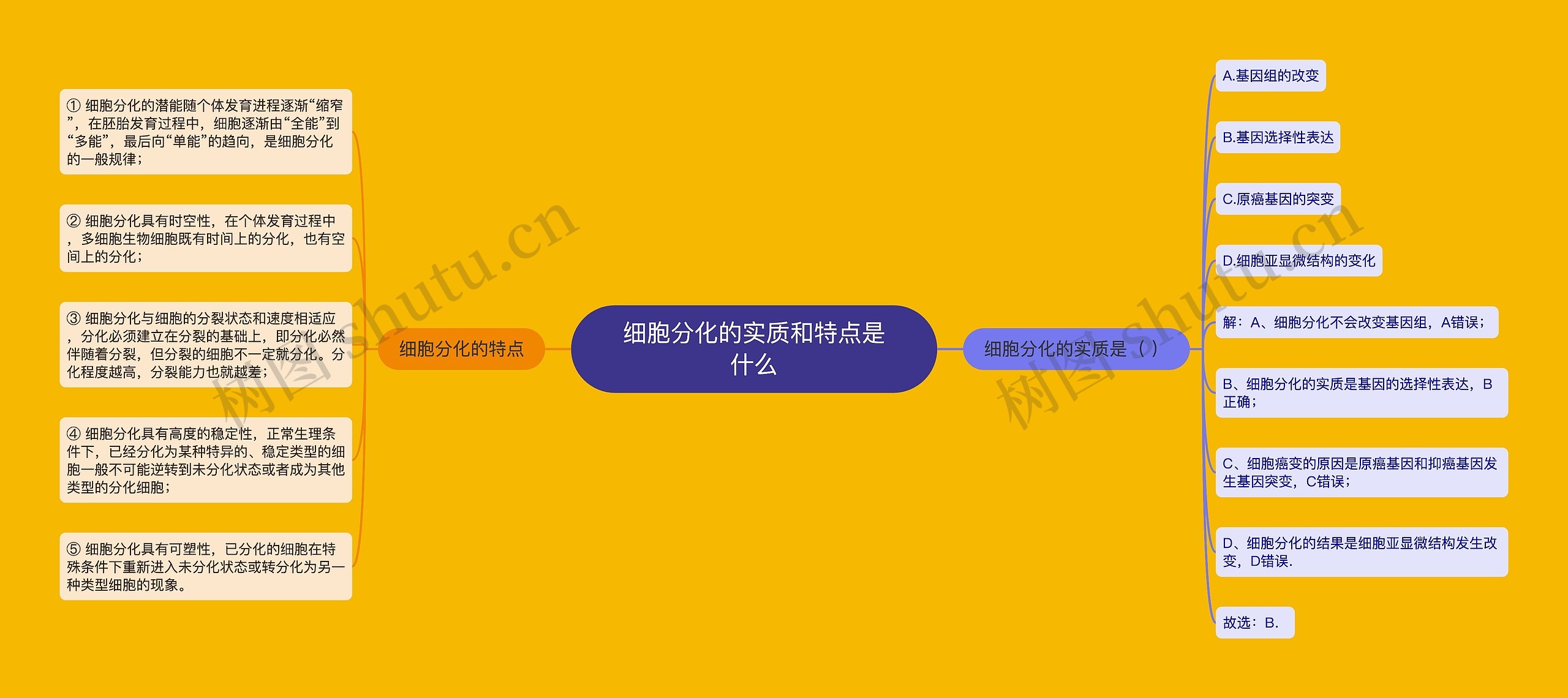 细胞分化的实质和特点是什么思维导图