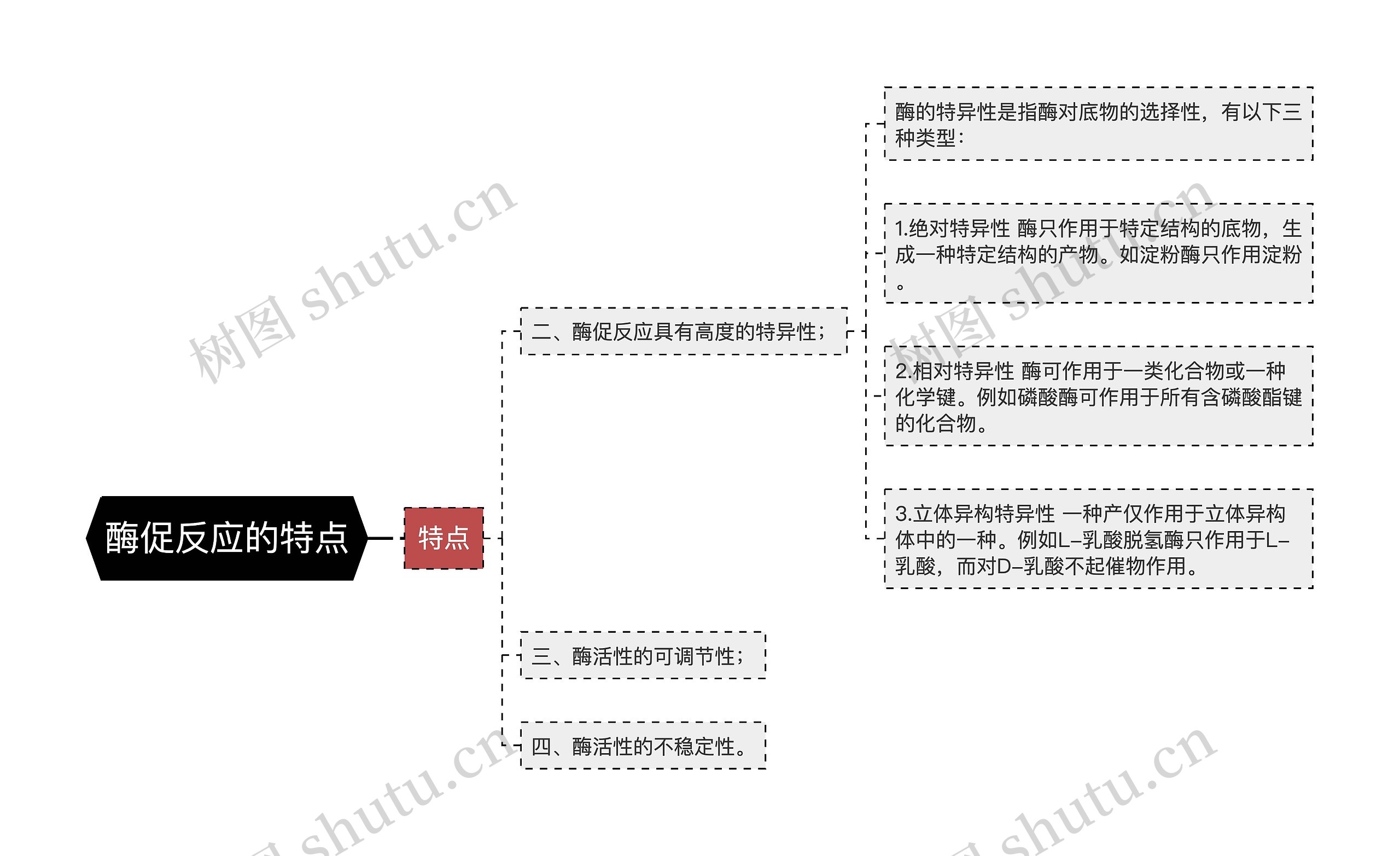 酶促反应的特点思维导图