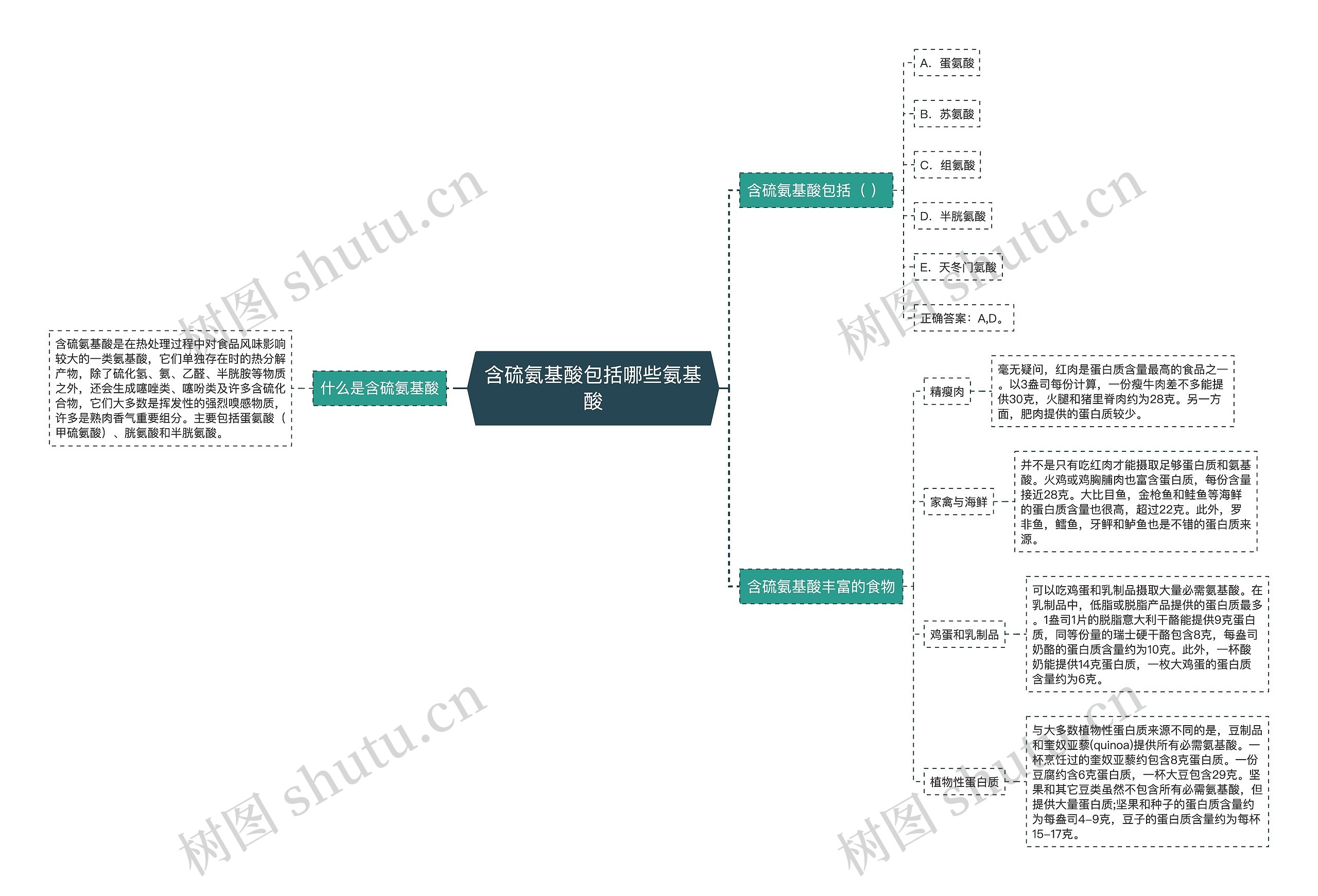 含硫氨基酸包括哪些氨基酸思维导图