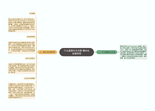 什么是碳水化合物 碳水化合物作用