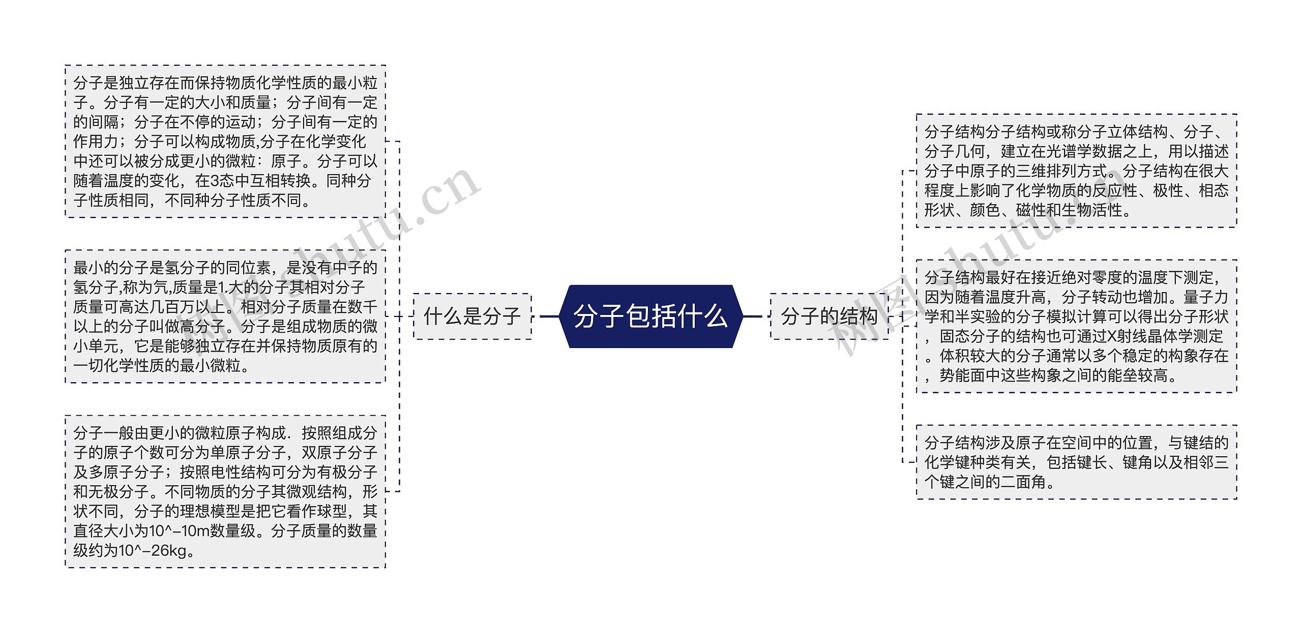 分子包括什么