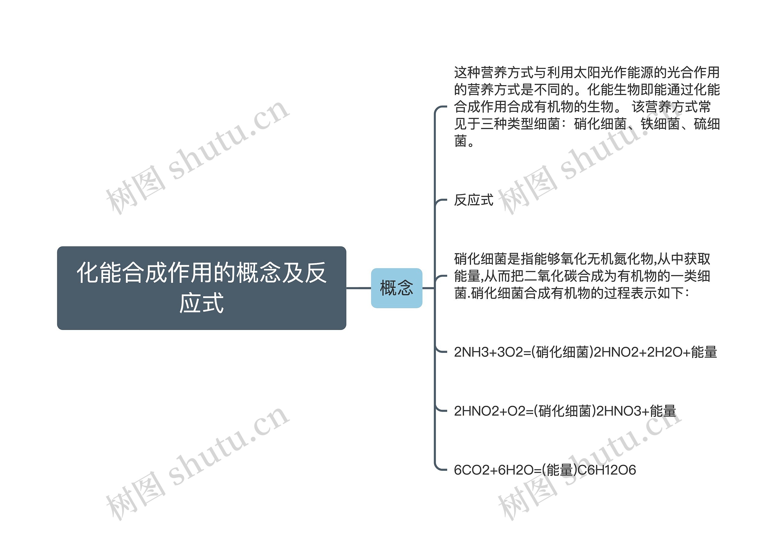 化能合成作用的概念及反应式