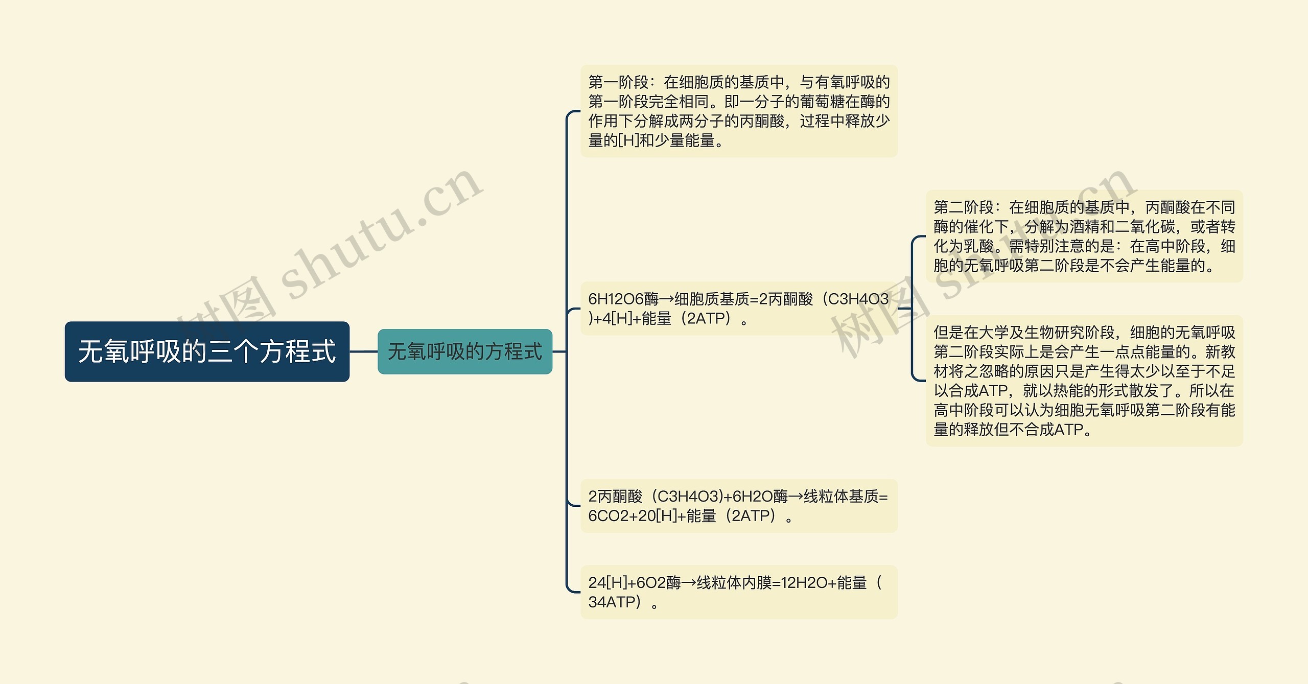 无氧呼吸的三个方程式