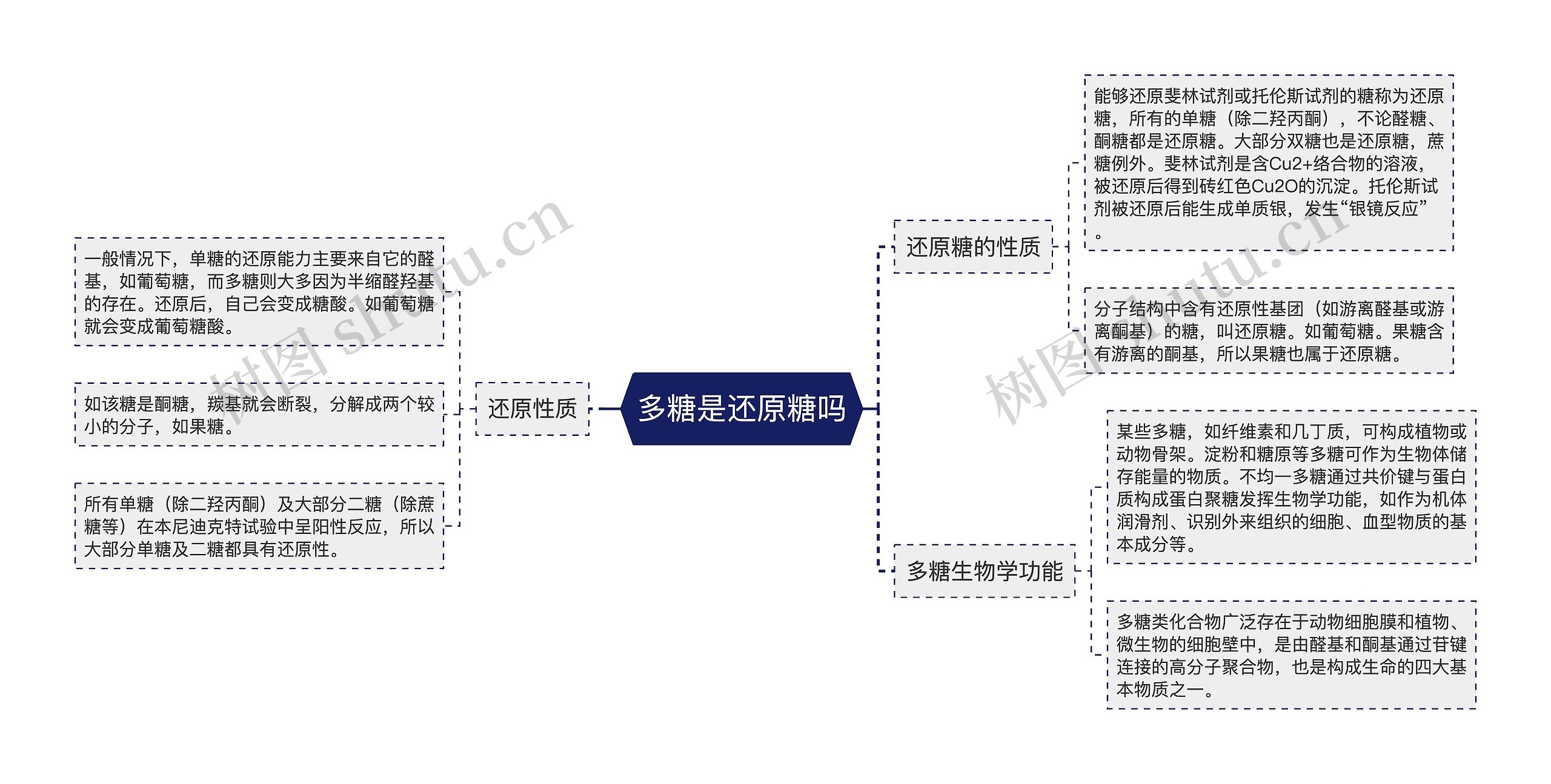 多糖是还原糖吗思维导图