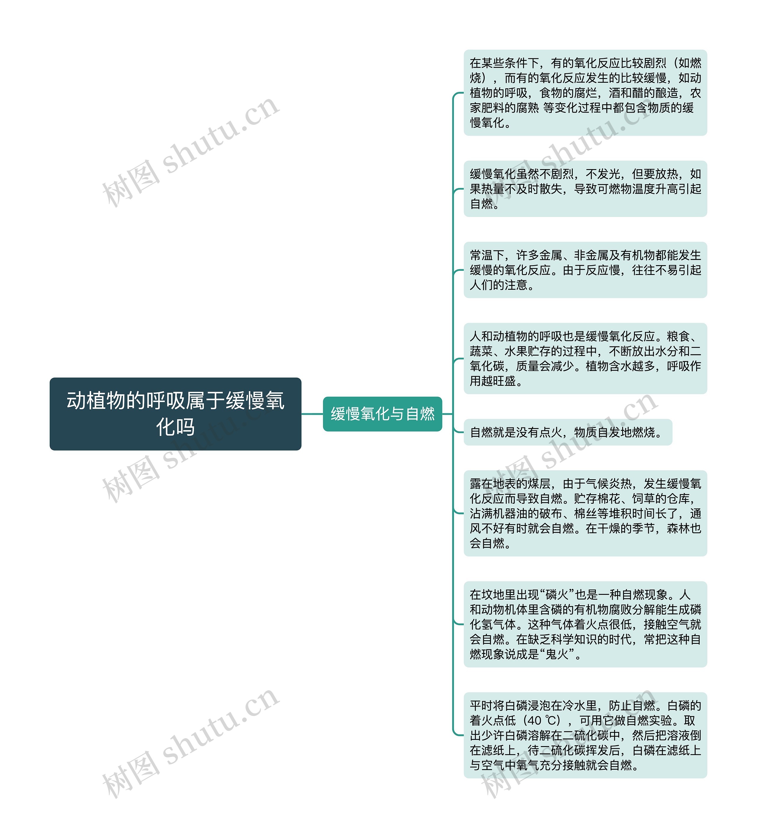 动植物的呼吸属于缓慢氧化吗