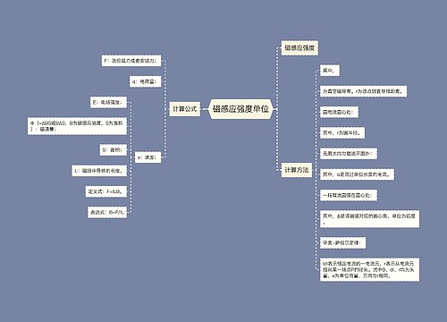 磁感应强度单位