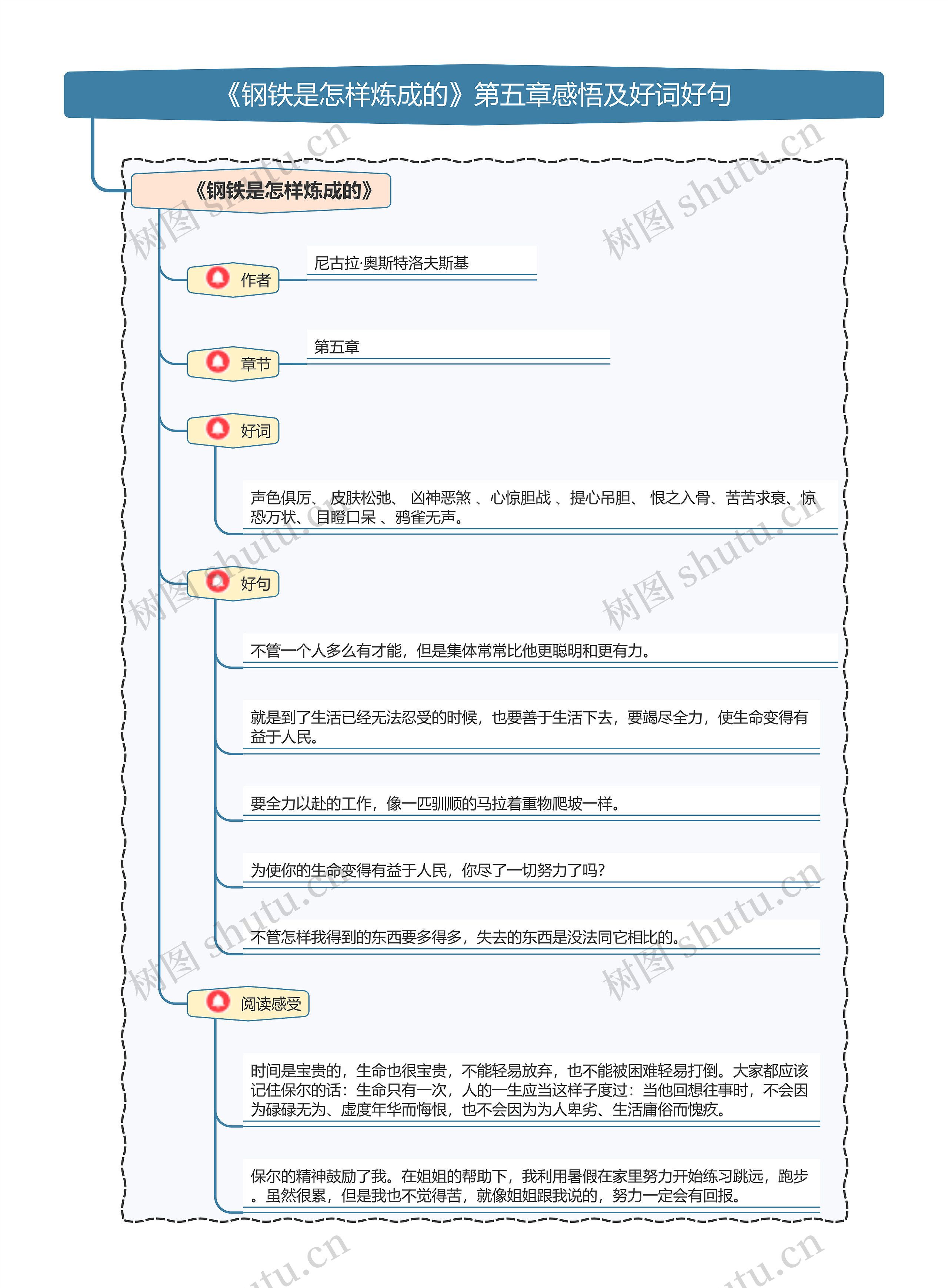 《钢铁是怎样炼成的》第五章感悟及好词好句思维导图