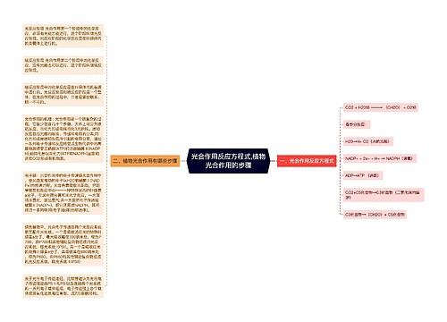 光合作用反应方程式,植物光合作用的步骤