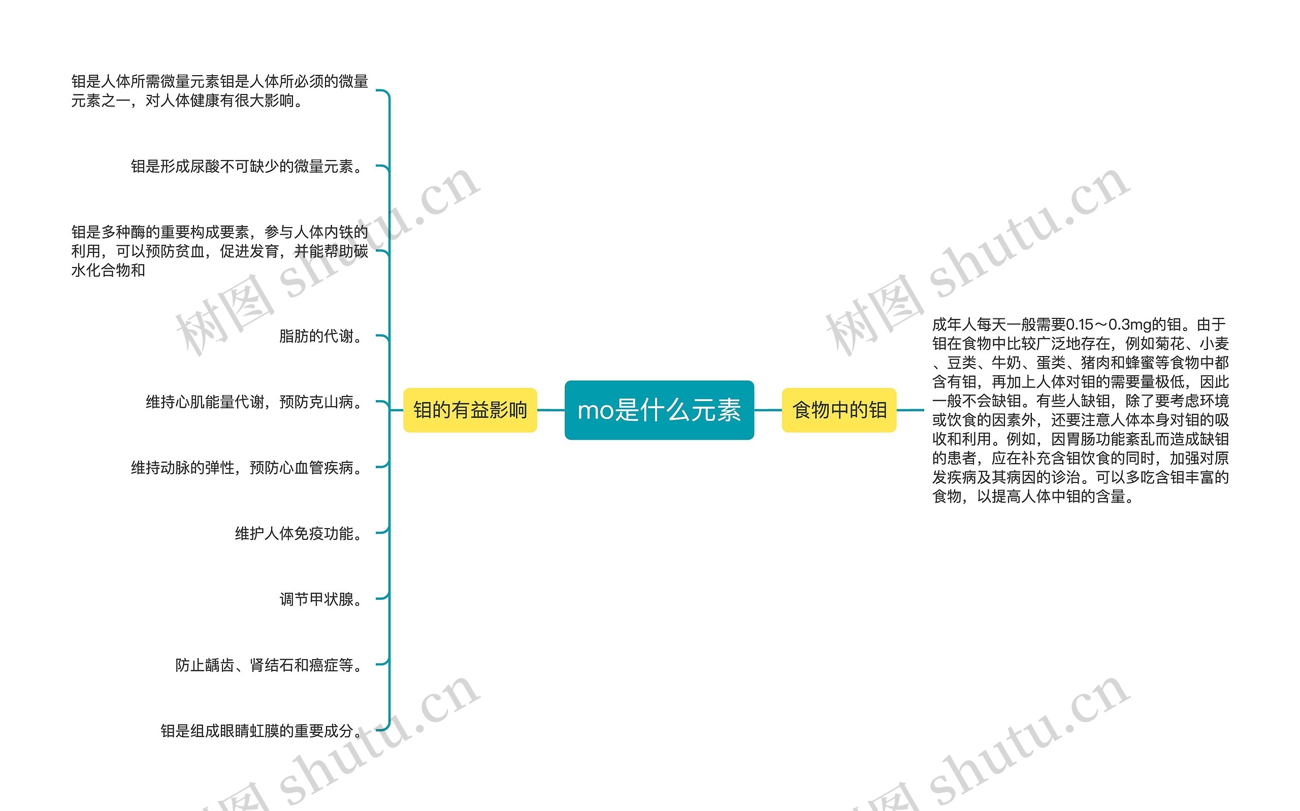 mo是什么元素
