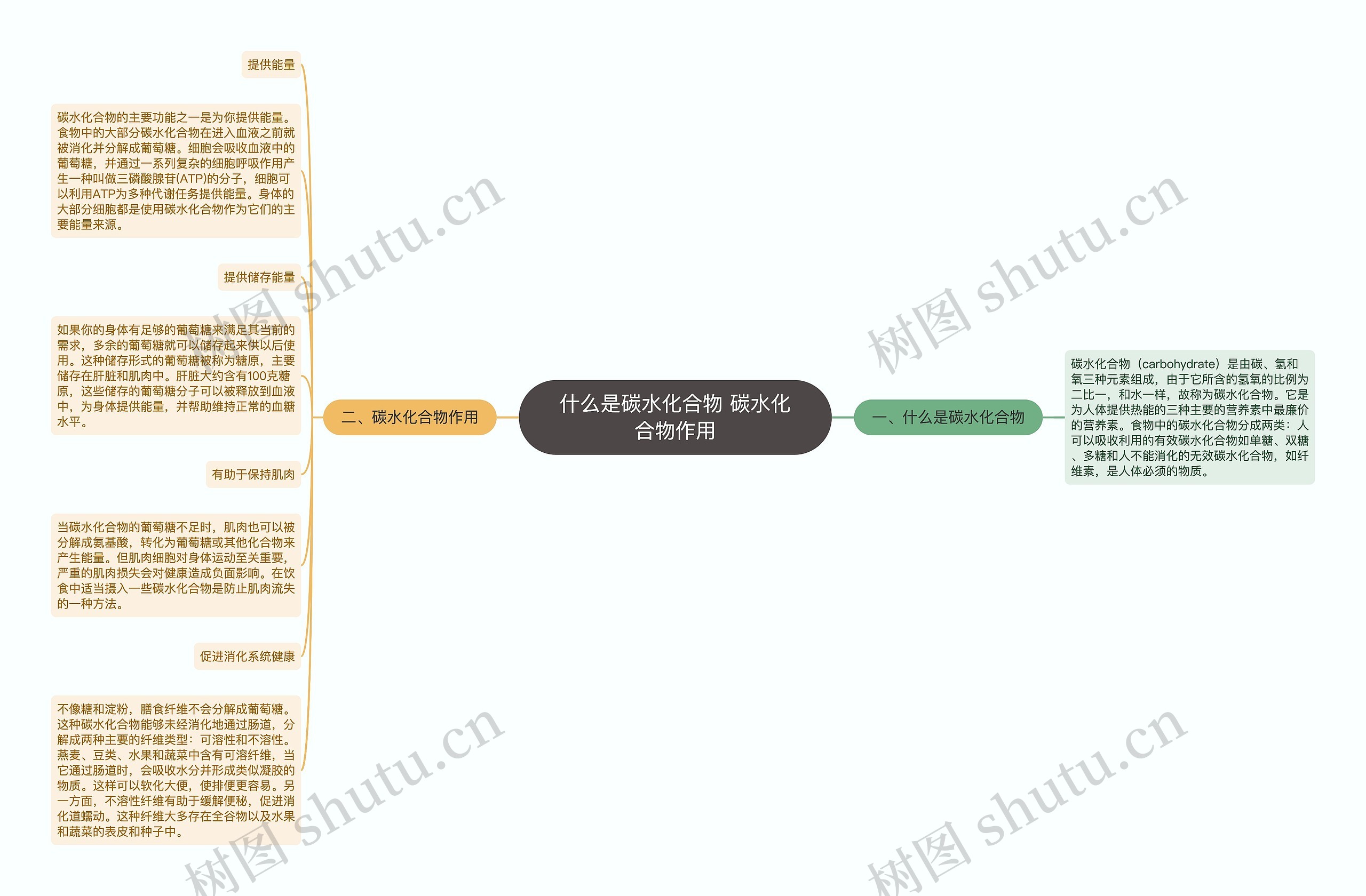 什么是碳水化合物 碳水化合物作用思维导图