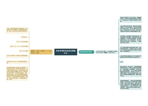 光合作用的反应和过程是什么