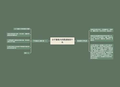 分子量最大的氨基酸是什么