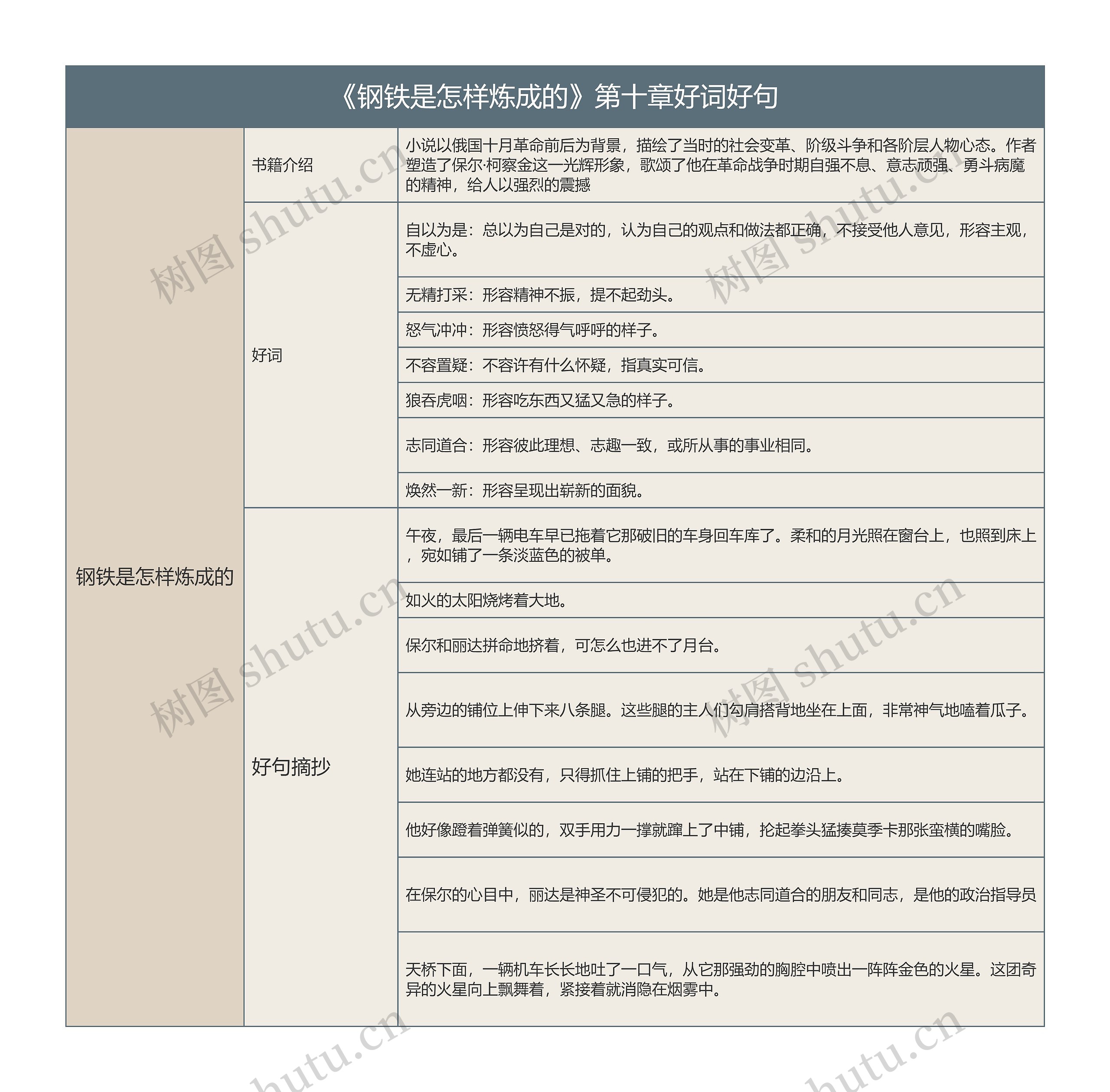 《钢铁是怎样炼成的》第十章好词好句的思维导图