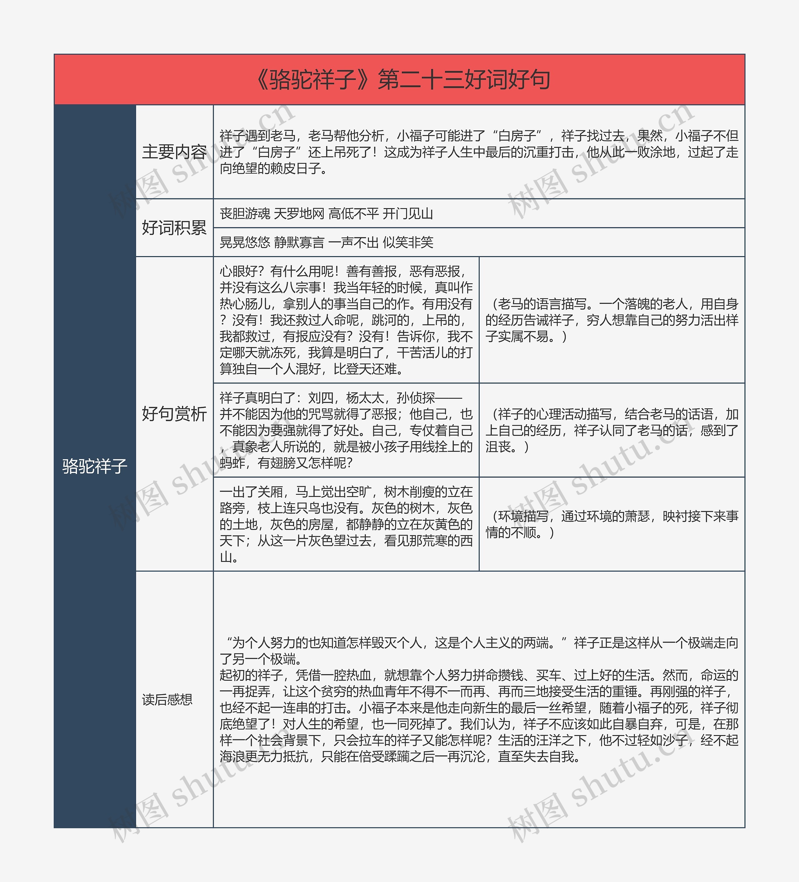 《骆驼祥子》第二十三好词好句的思维导图