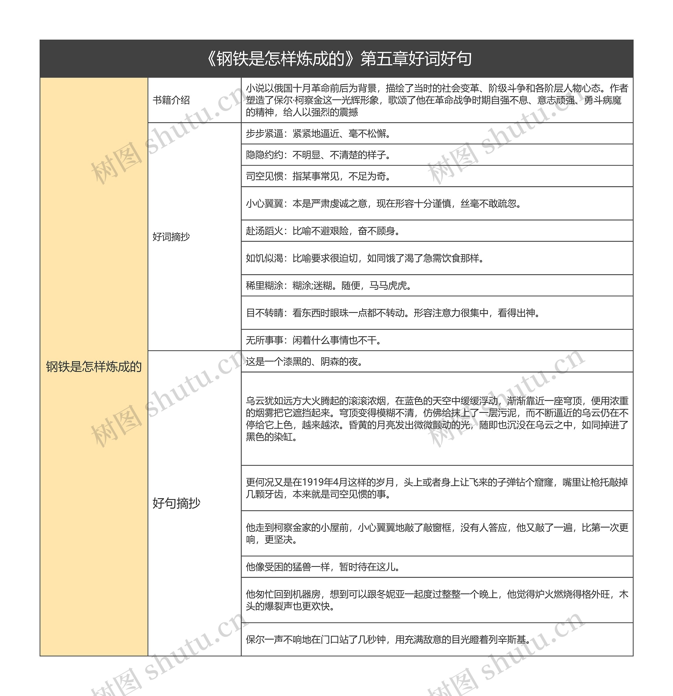 《钢铁是怎样炼成的》第五章好词好句的思维导图