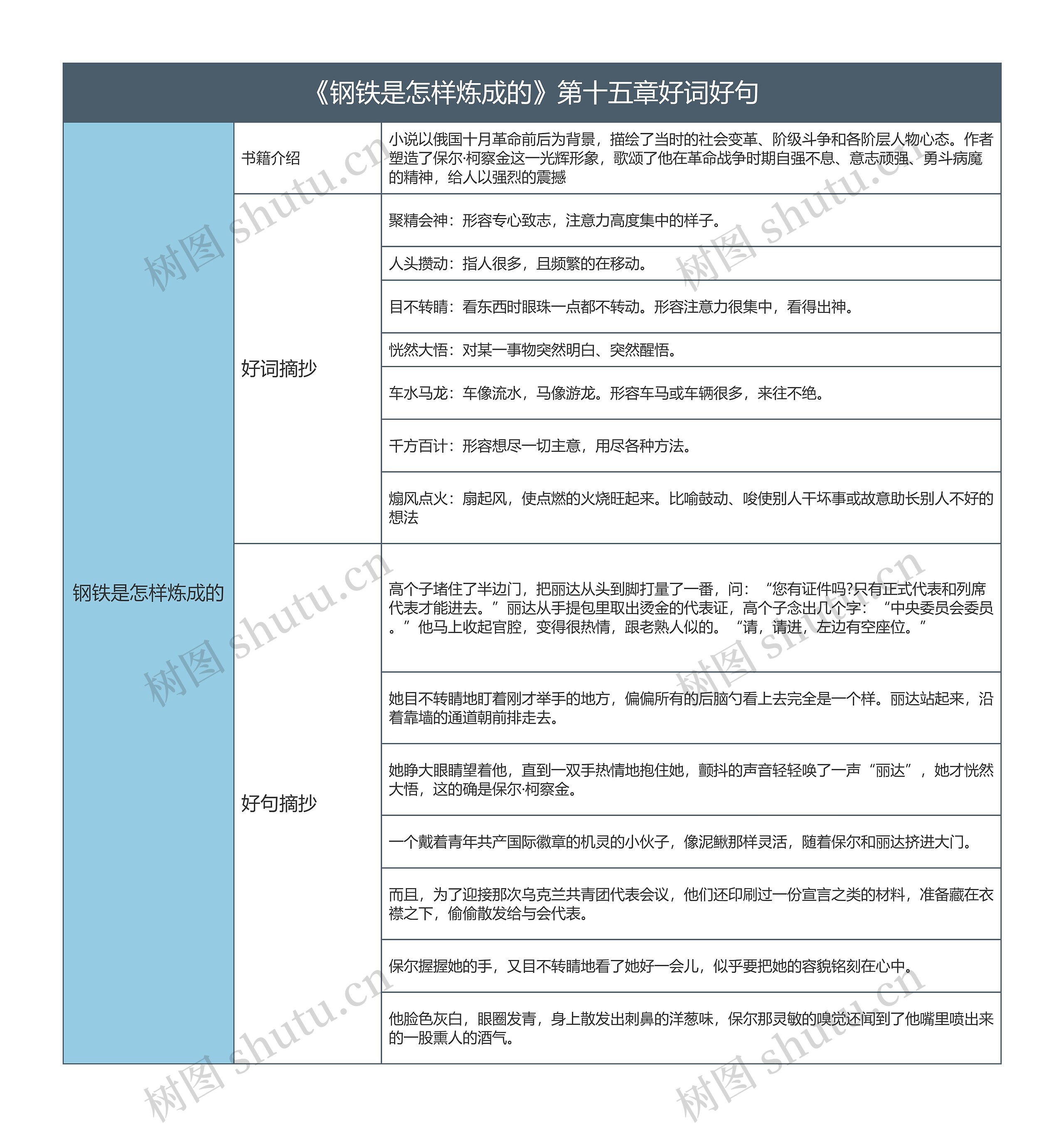 《钢铁是怎样炼成的》第十五章好词好句的思维导图
