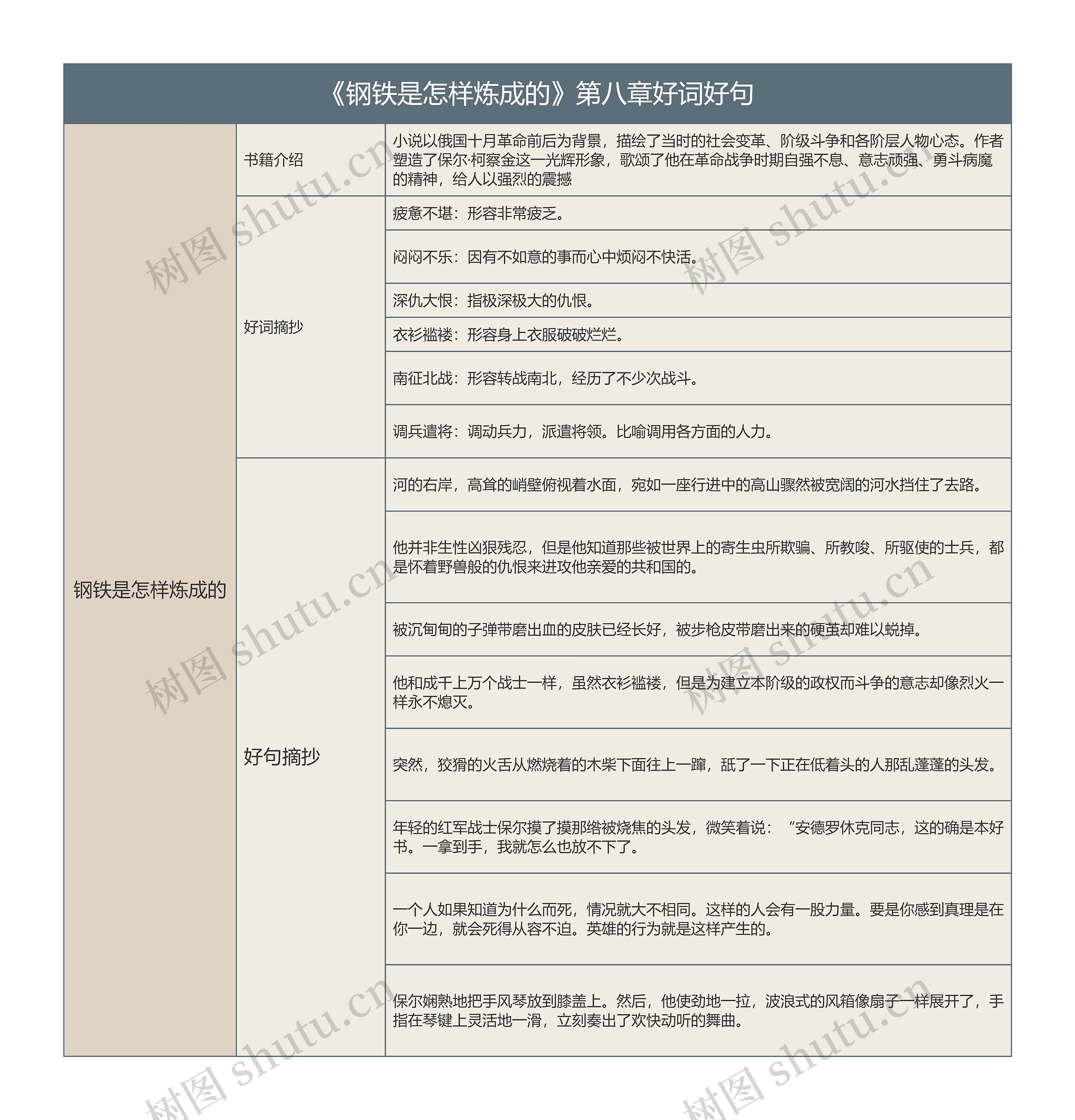 《钢铁是怎样炼成的》第八章好词好句的思维导图