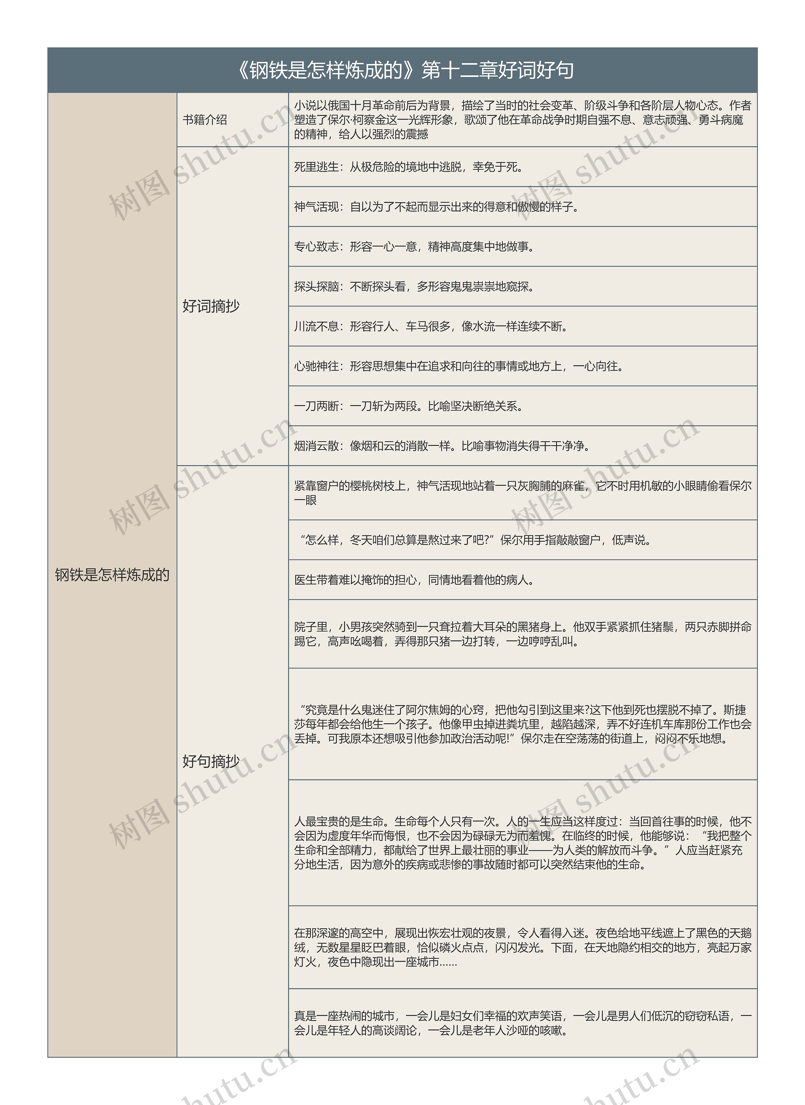 《钢铁是怎样炼成的》第十二章好词好句的思维导图