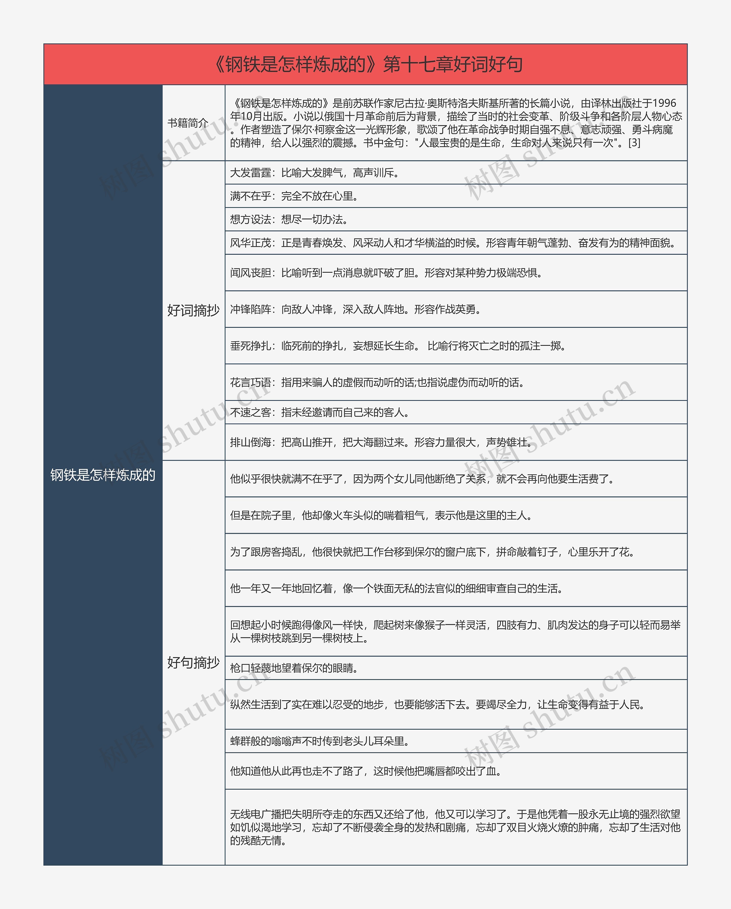 《钢铁是怎样炼成的》第十七章好词好句的思维导图