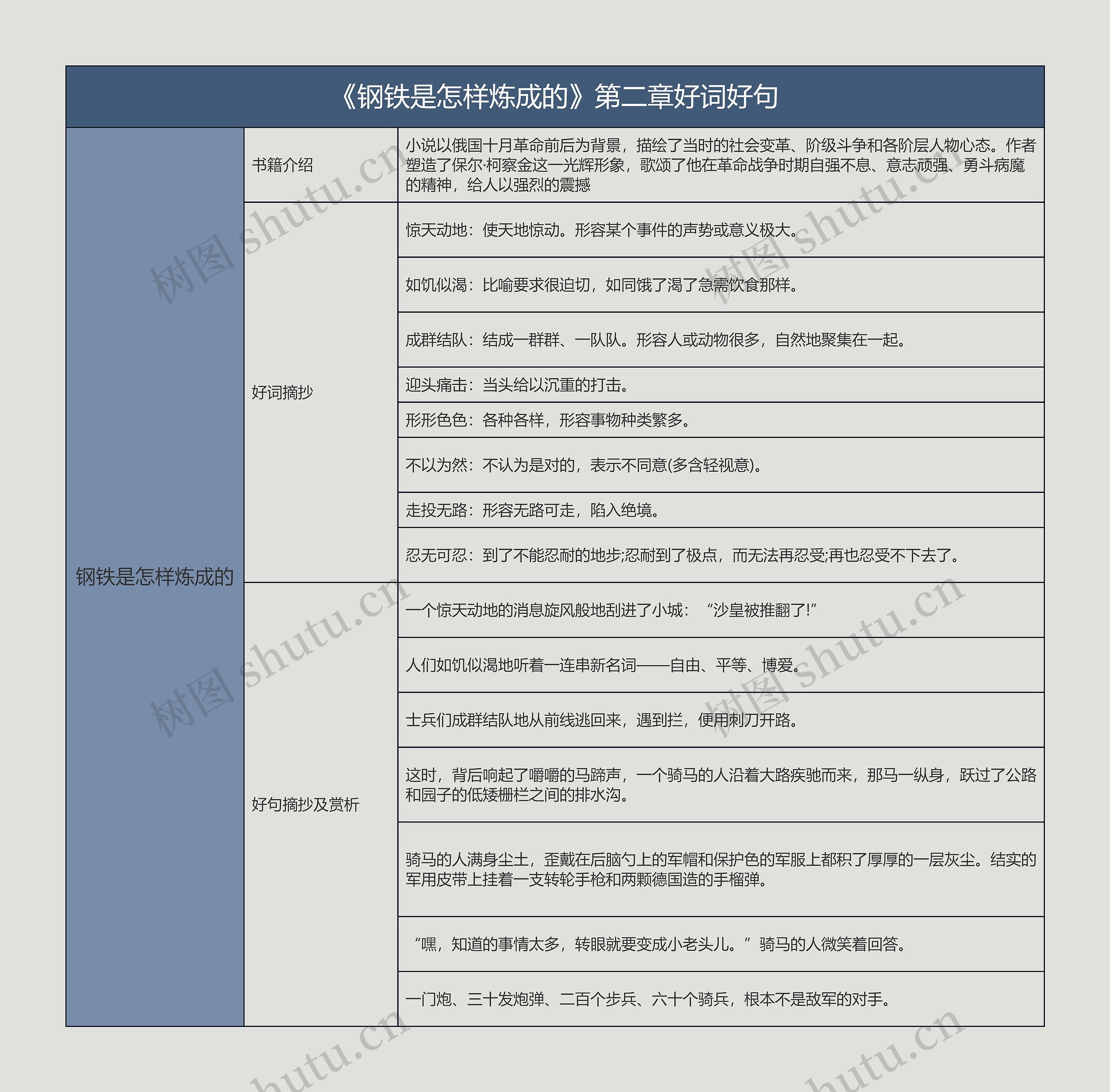 《钢铁是怎样炼成的》第二章好词好句的思维导图