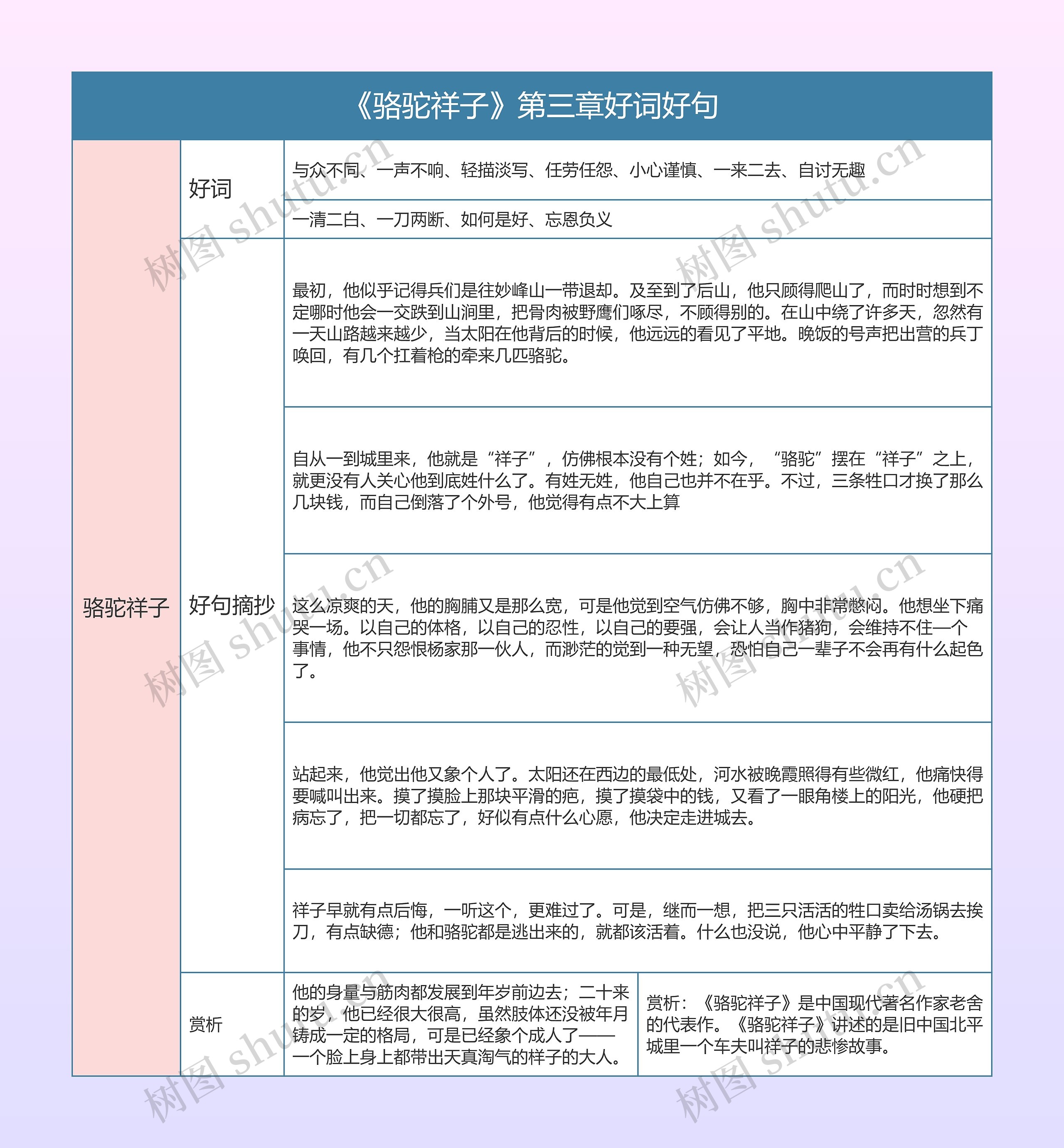 《骆驼祥子》第三章好词好句的思维导图