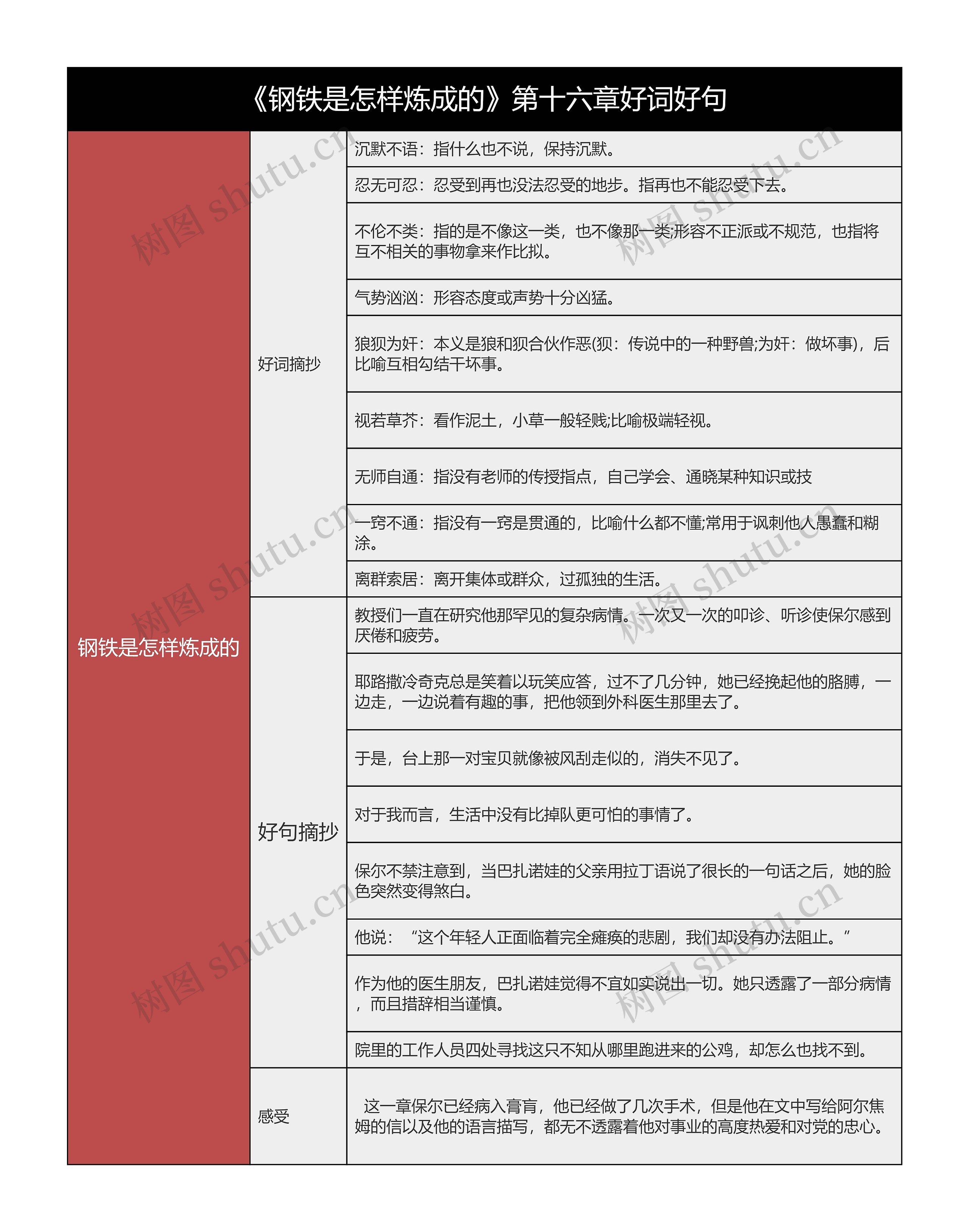 《钢铁是怎样炼成的》第十六章好词好句的思维导图