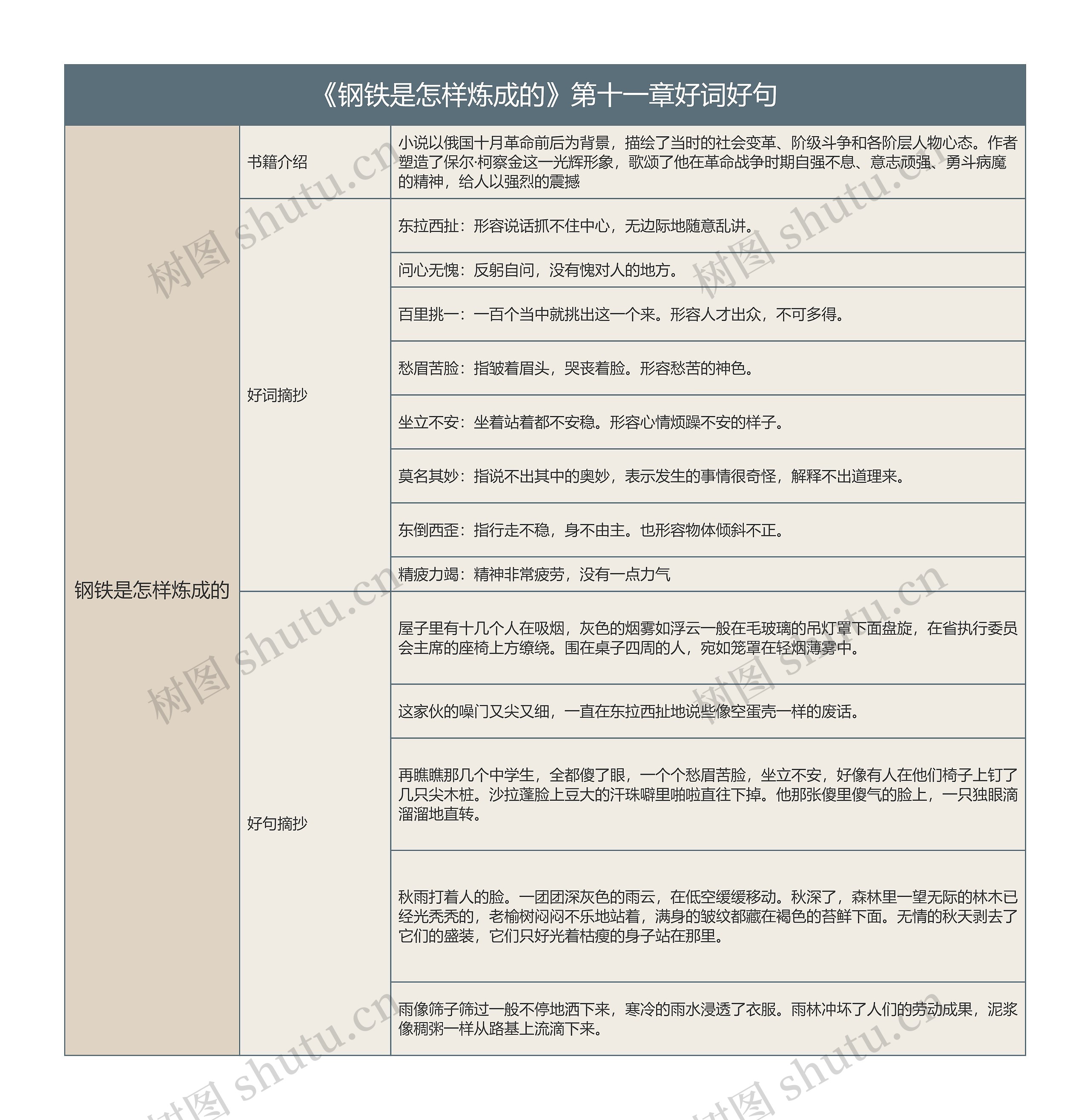 《钢铁是怎样炼成的》第十一章好词好句的思维导图