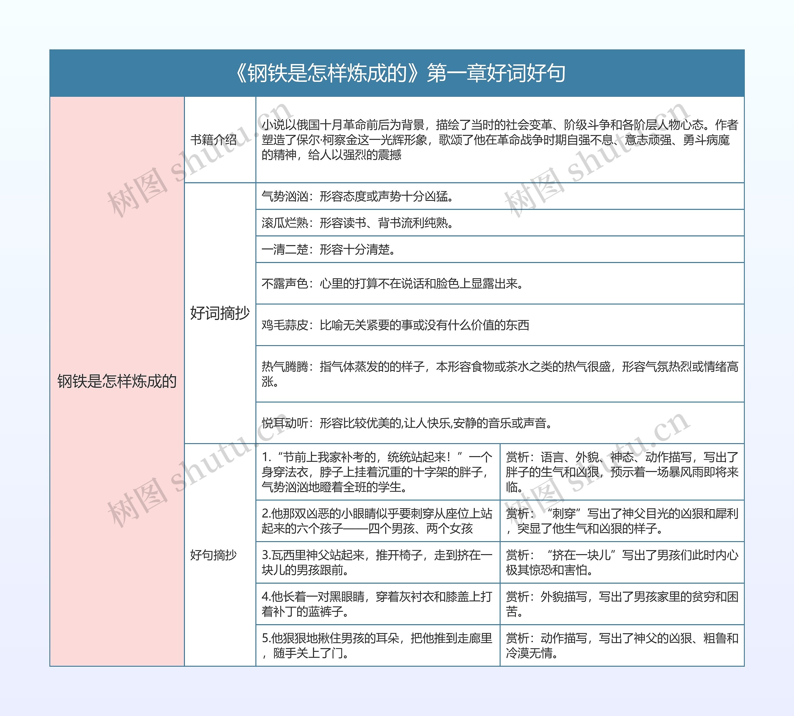 《钢铁是怎样炼成的》第一章好词好句的思维导图