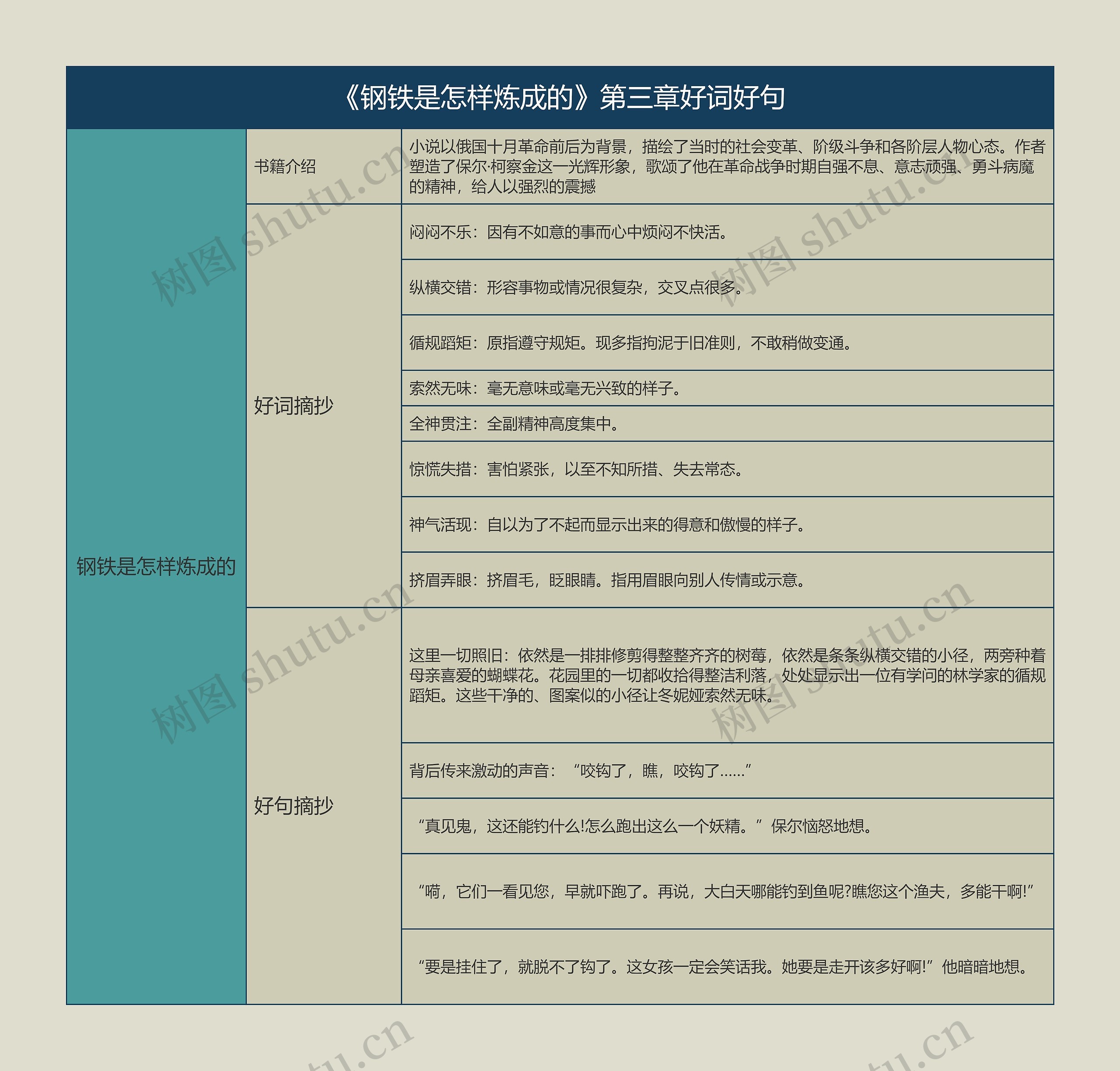 《钢铁是怎样炼成的》第三章好词好句的思维导图