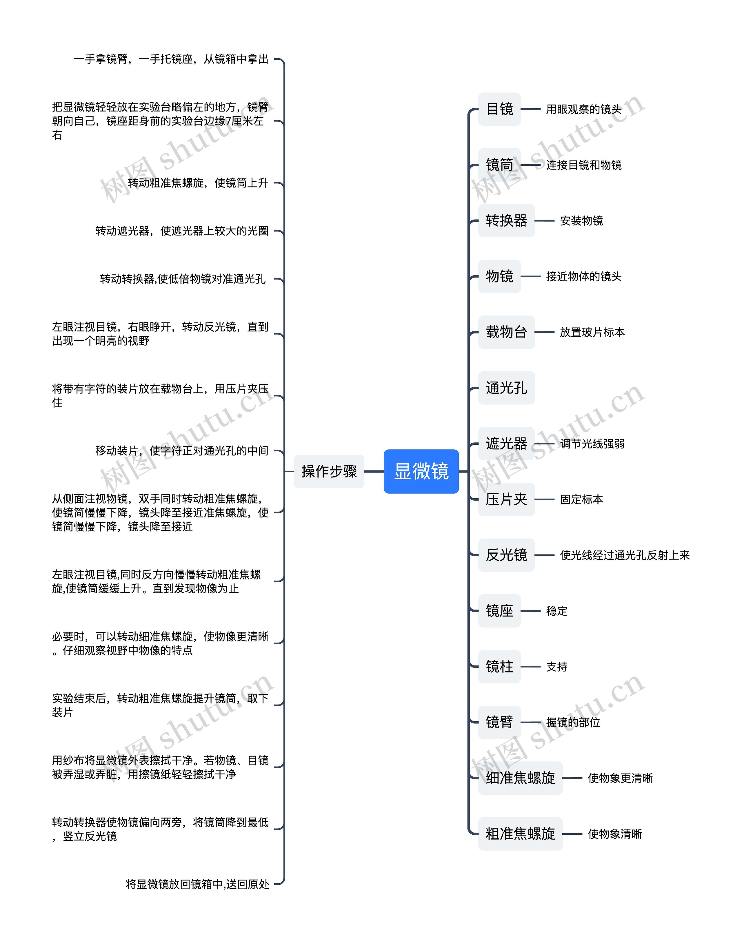 显微镜的介绍和使用方法思维导图