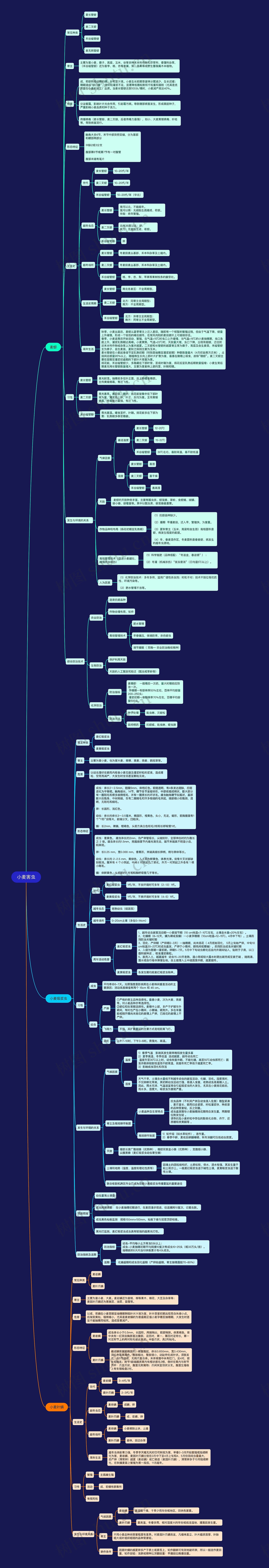 小麦害虫思维导图高清图 小麦害虫思维导图