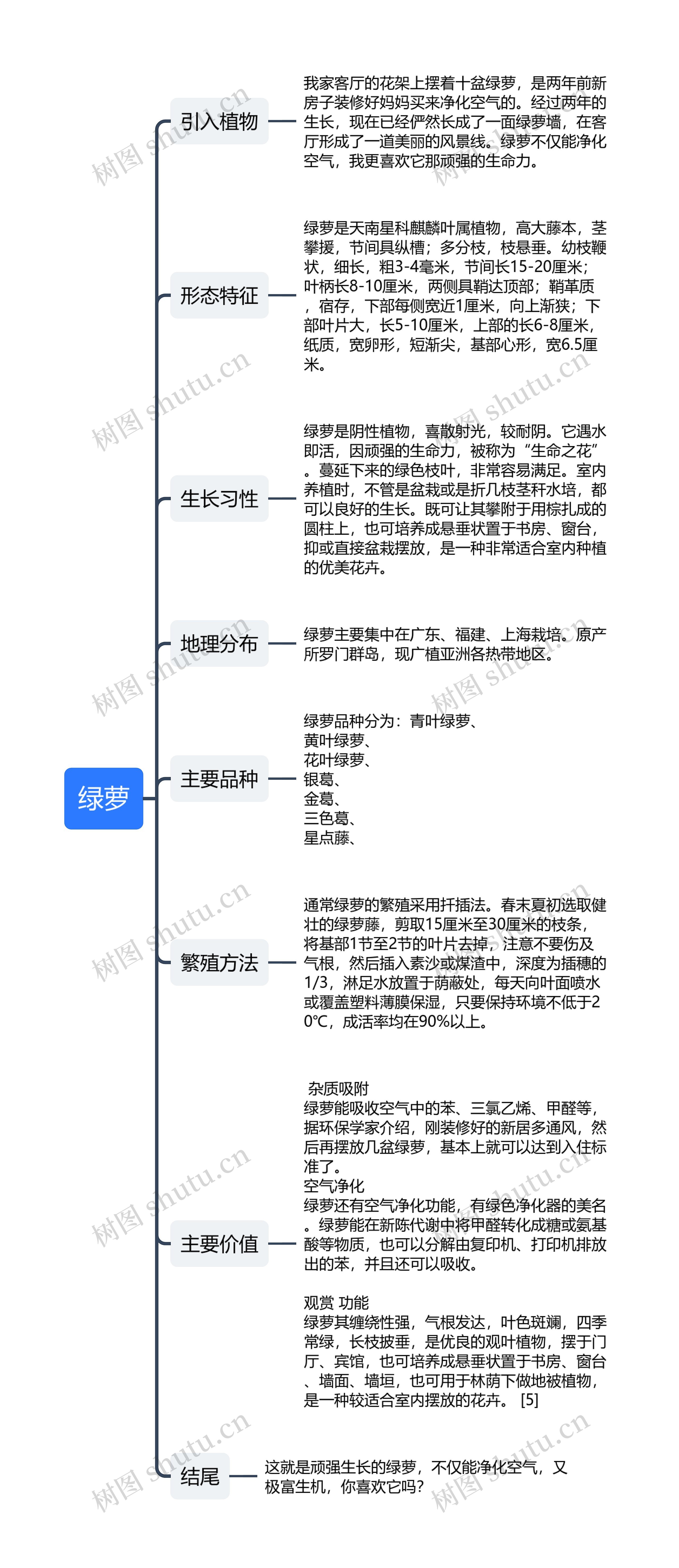 ﻿绿萝思维导图